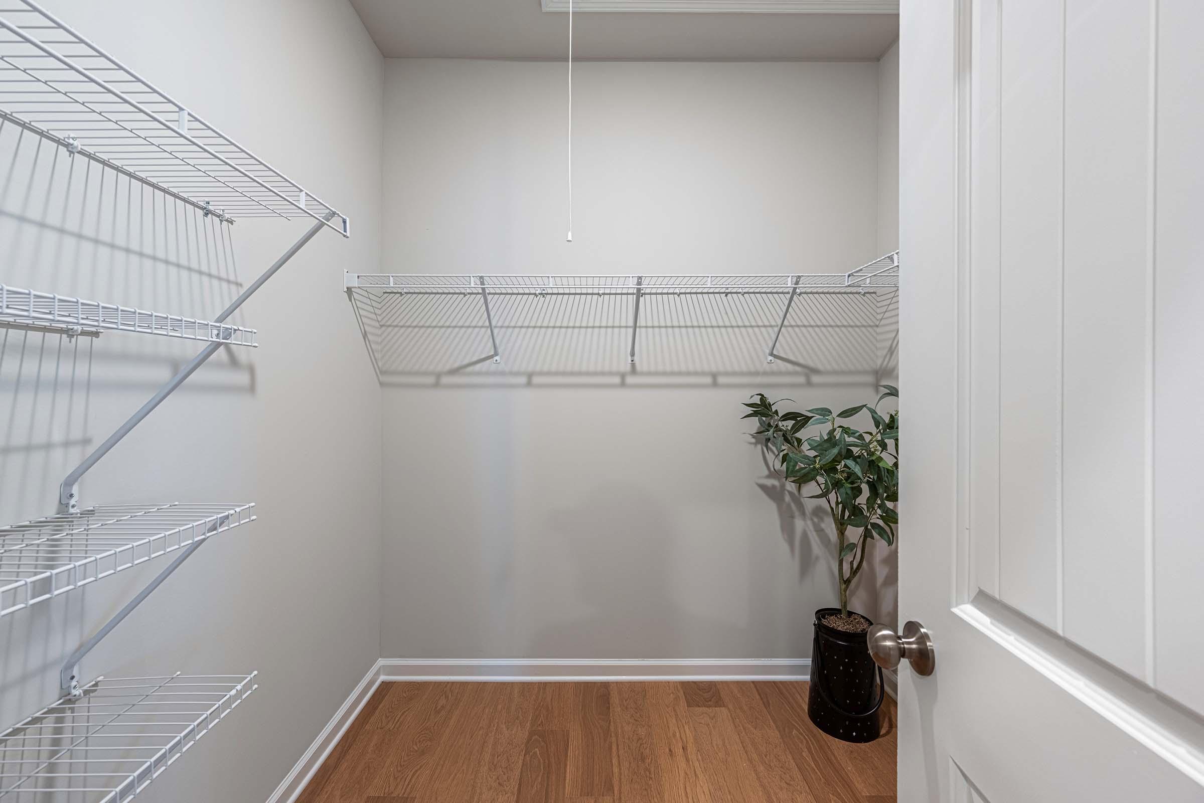 A vacant closet with white wire shelving on two walls. A potted plant sits in the corner, and the floor is made of wood. The walls are painted a light gray, and a white door is open, revealing the interior. Natural light may be entering through the door.