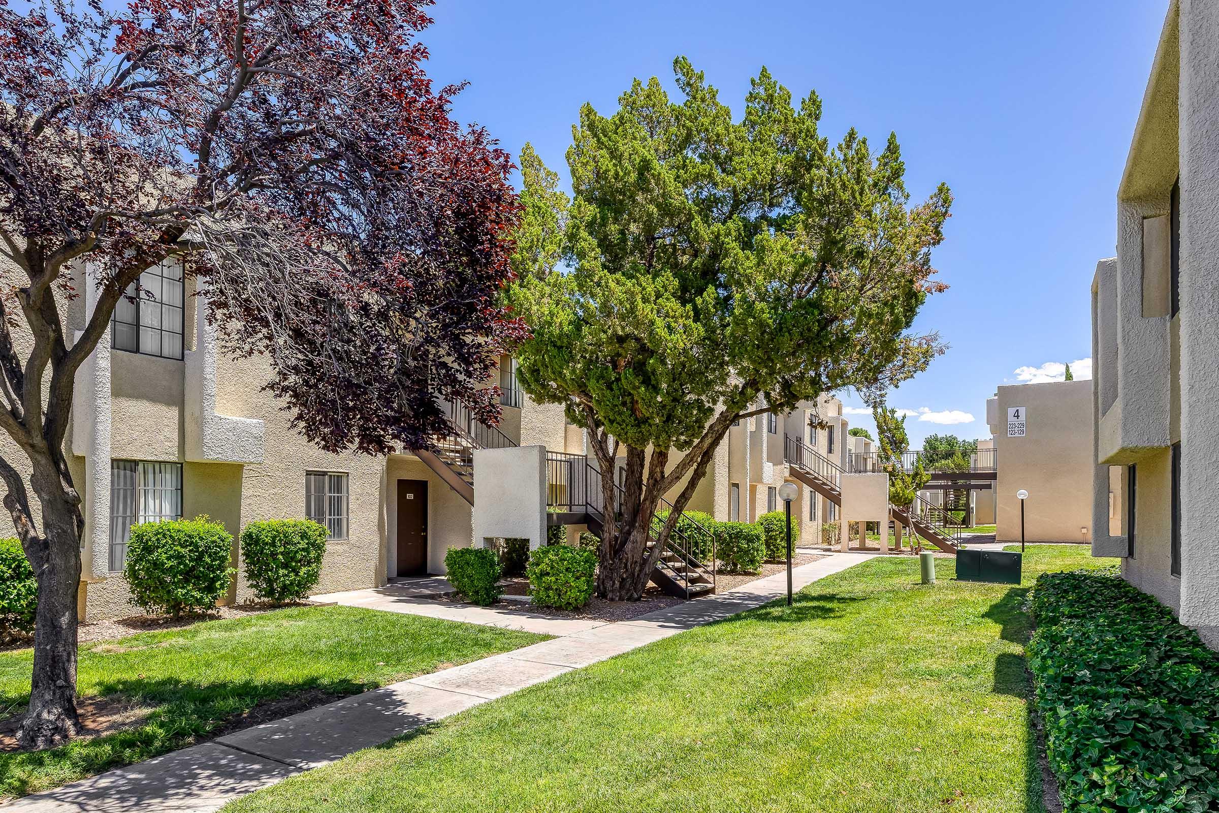A well-maintained outdoor area of an apartment complex featuring green lawns, shrubs, and two trees. Light-colored building facades line the walkway, which leads to various apartment entrances. The scene is bathed in bright sunlight under a clear blue sky, creating a welcoming atmosphere.