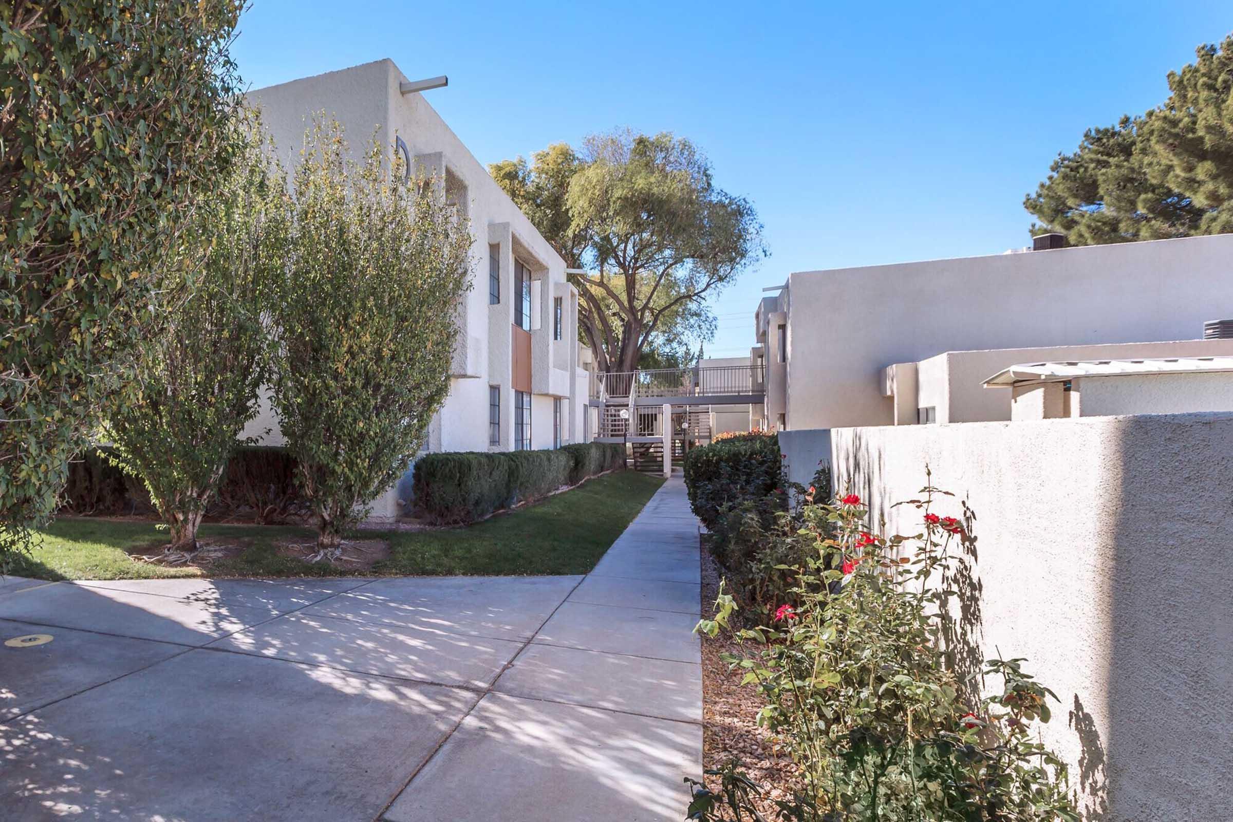 A paved path leads through a landscaped area with shrubs and roses, flanked by two light-colored apartment buildings. The sky is clear and blue, enhancing the inviting atmosphere of the scene.
