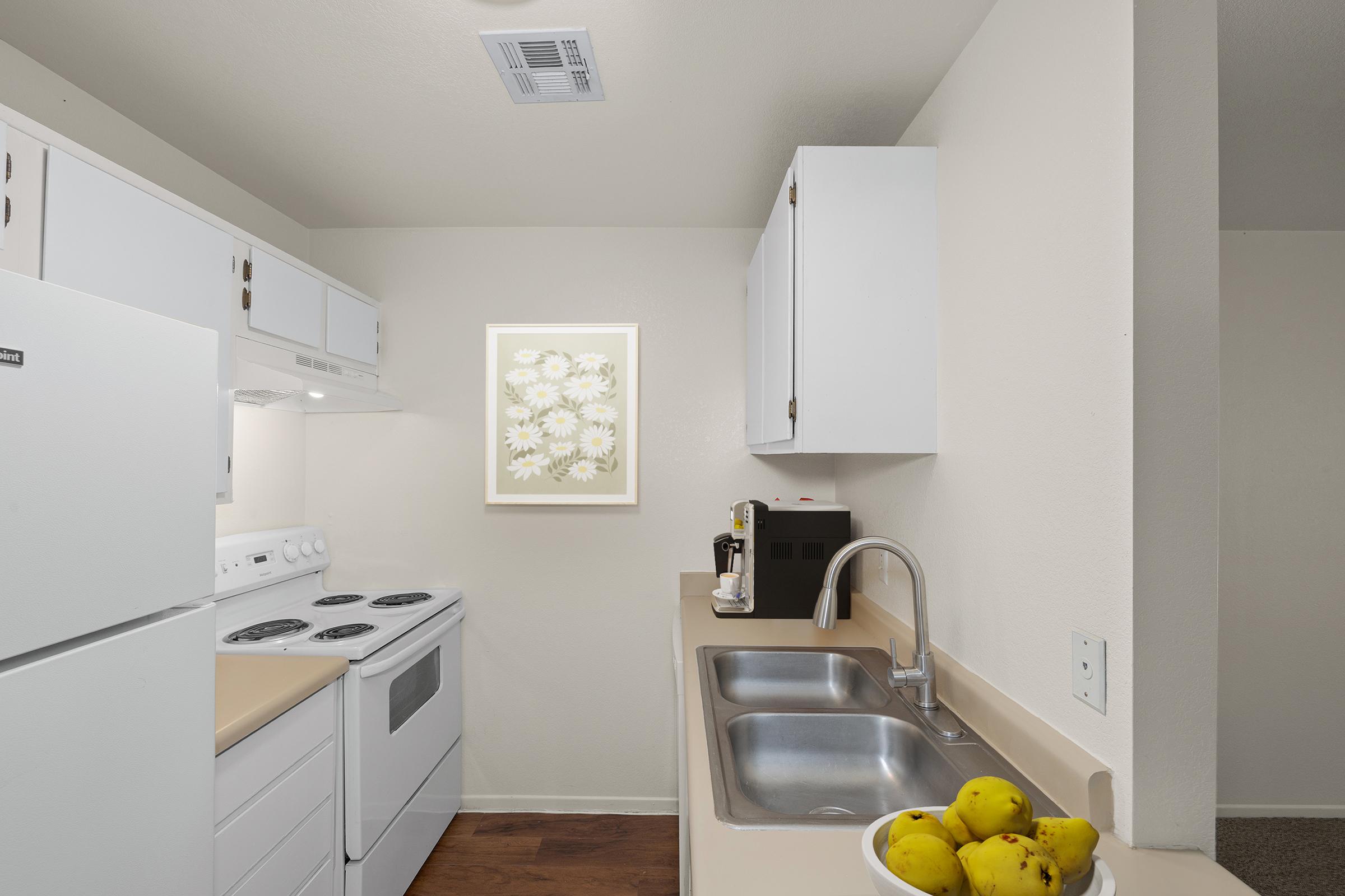 A bright, modern kitchen featuring white cabinets, an electric stove, and a double sink. A framed floral print decorates the wall, and a bowl of yellow fruits sits on the countertop. The overall ambiance is clean and inviting, with neutral colors and natural light.