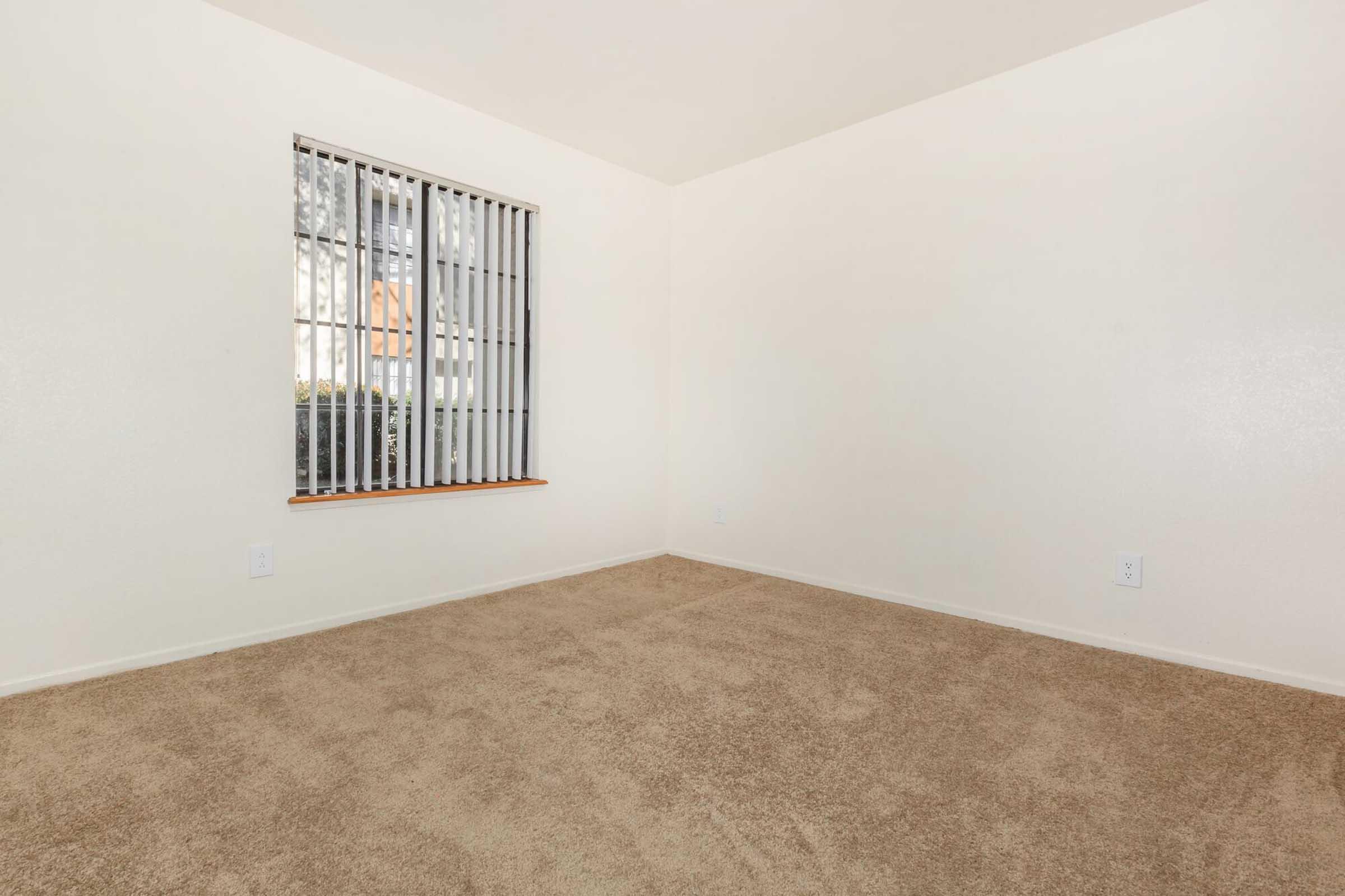 Empty room with light beige carpet and cream-colored walls. A window with vertical blinds allows natural light to enter. There are no furnishings, creating a spacious, minimalist feel.