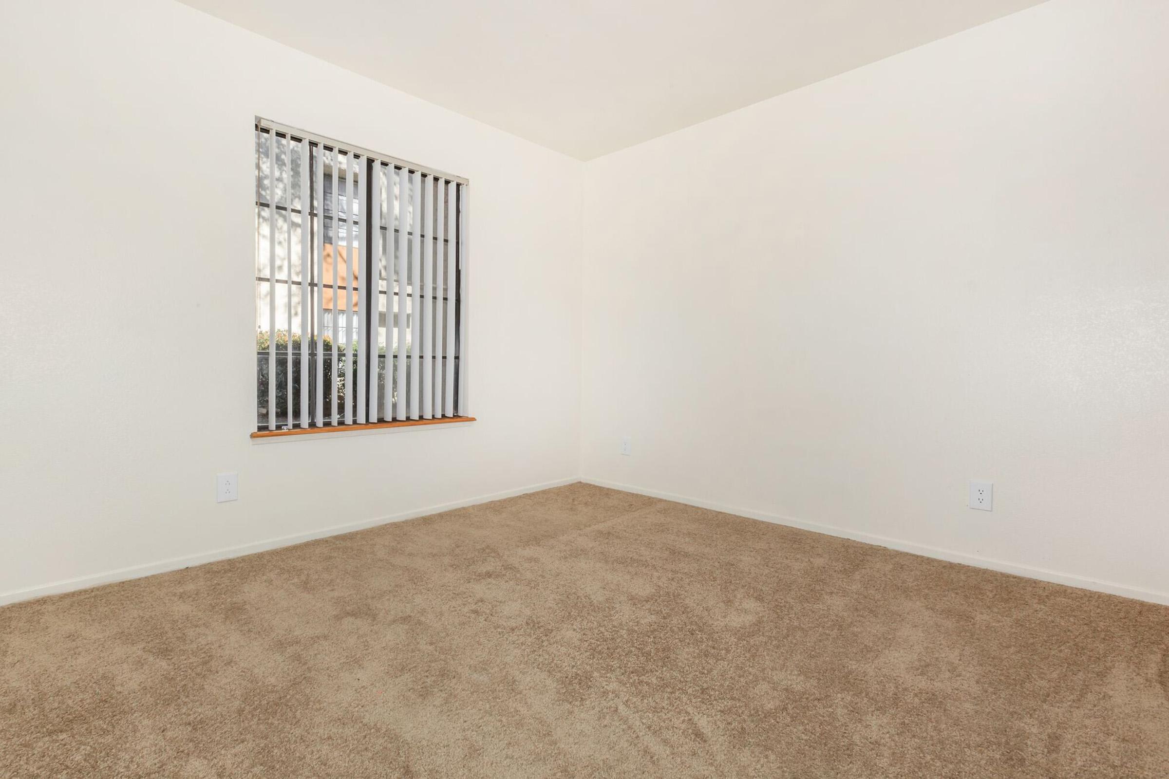 A vacant room with light beige carpet flooring and plain white walls. There is a window with vertical blinds letting in natural light, and the space appears clean and empty, suitable for potential furnishing or decoration.