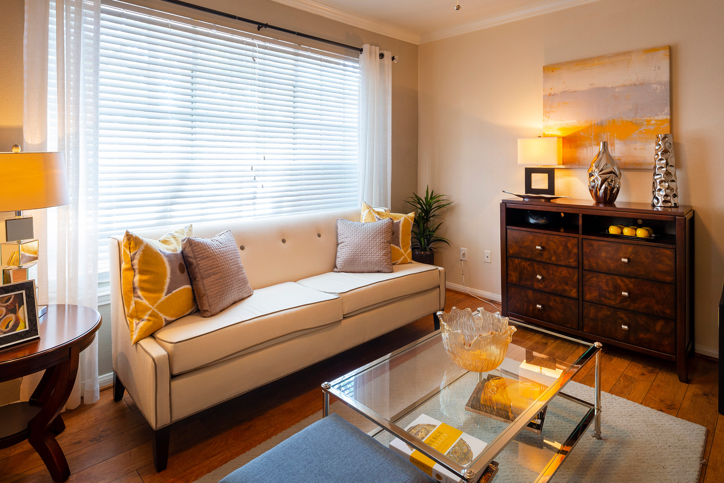 Apartment Features