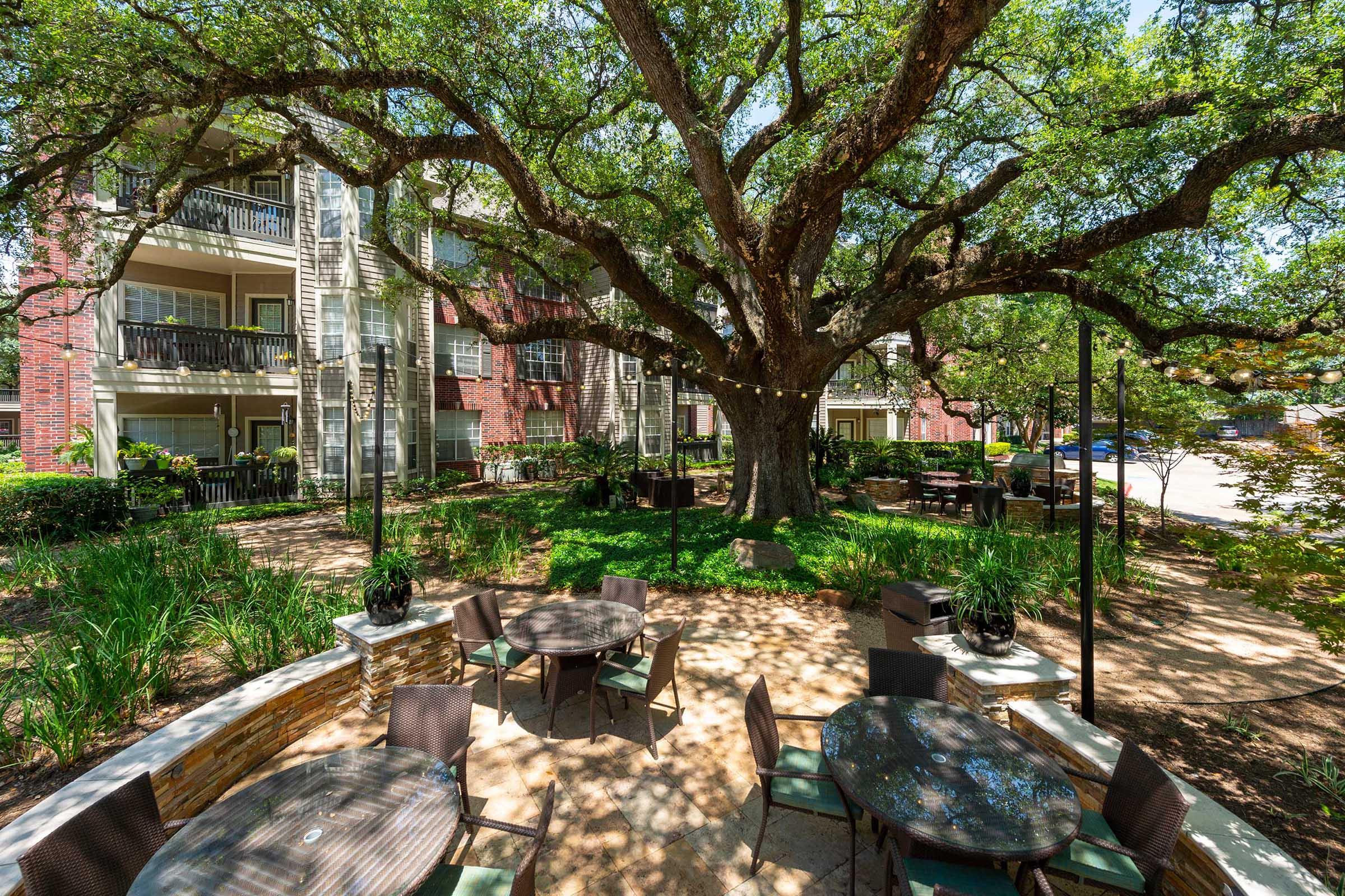 A shaded outdoor seating area with circular tables and chairs beneath a large tree. Surrounding the space are green grass and well-maintained shrubs, with an apartment building visible in the background, providing a peaceful and inviting atmosphere for relaxation or social gatherings.
