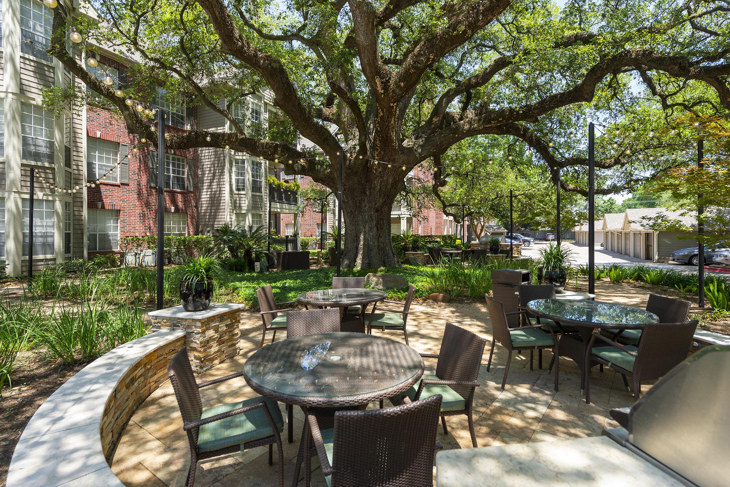 A spacious outdoor area featuring round tables and chairs surrounded by lush greenery and a large, leafy tree. The setting is peaceful and inviting, with brick buildings in the background and soft sunlight filtering through the leaves. Ideal for relaxation or social gatherings.