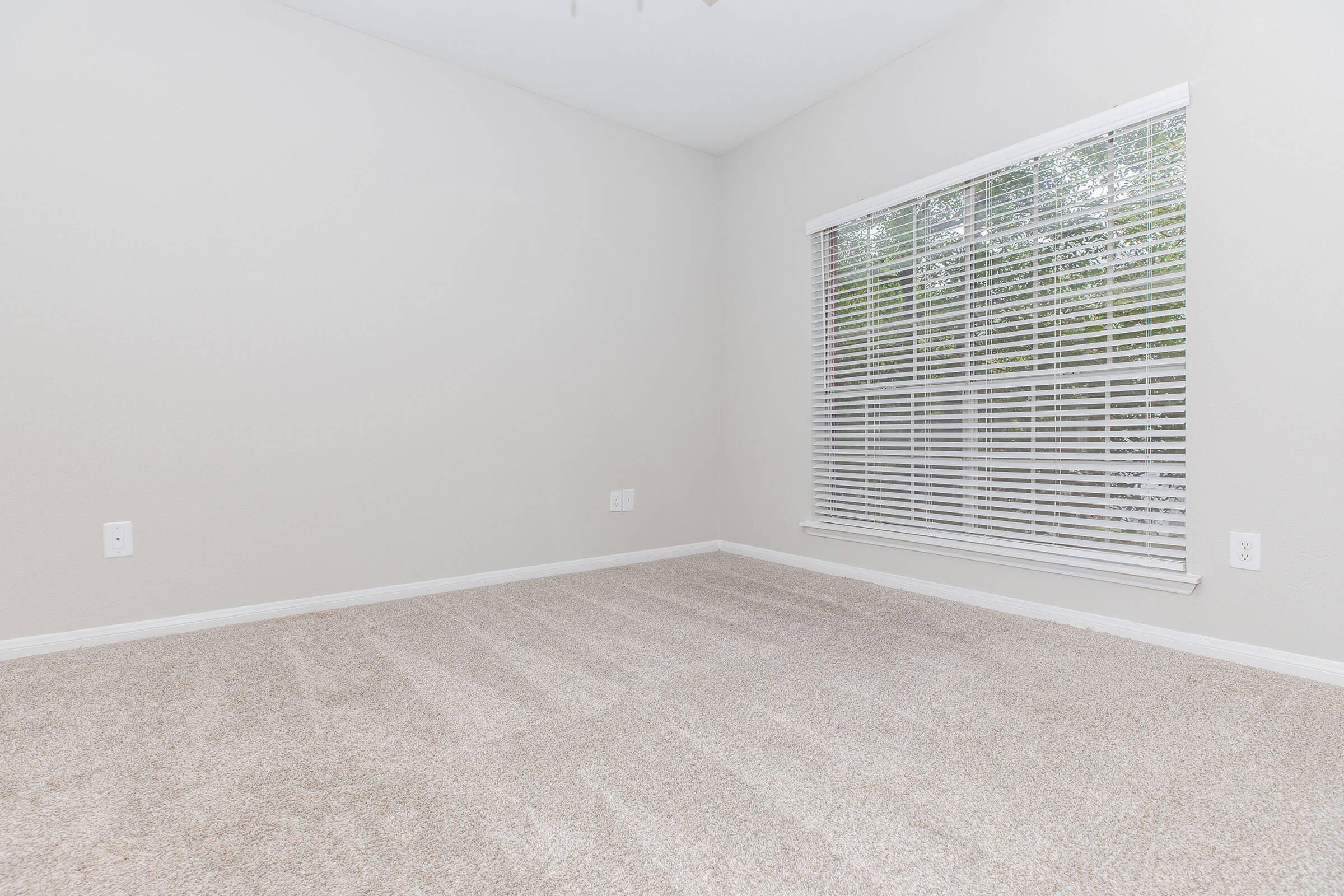 A vacant room with light gray walls and a large window covered by white blinds. The floor is covered with beige carpet, and there are no furniture or decorations, creating a bright and open space.