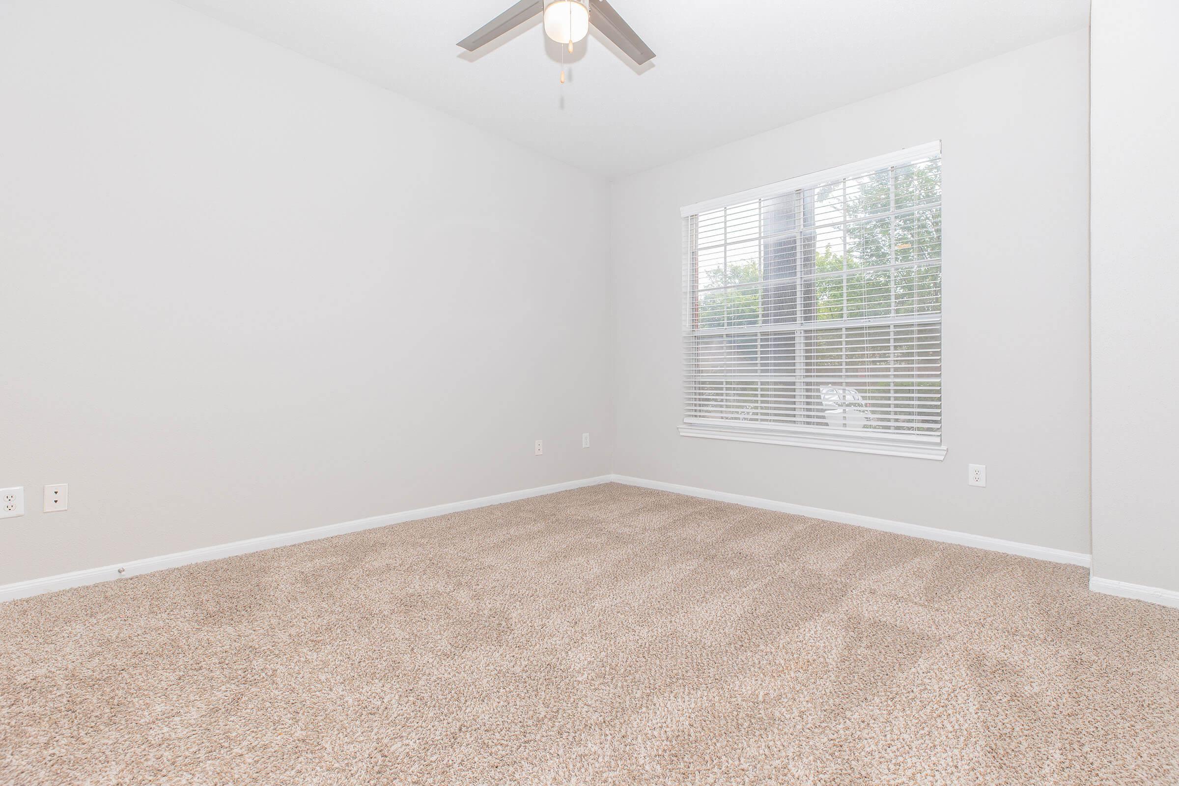 Empty room with light gray walls and a tan carpet. A ceiling fan is installed, and there is a window with white blinds letting in natural light. The space appears clean and well-maintained, suitable for various furnishing options.
