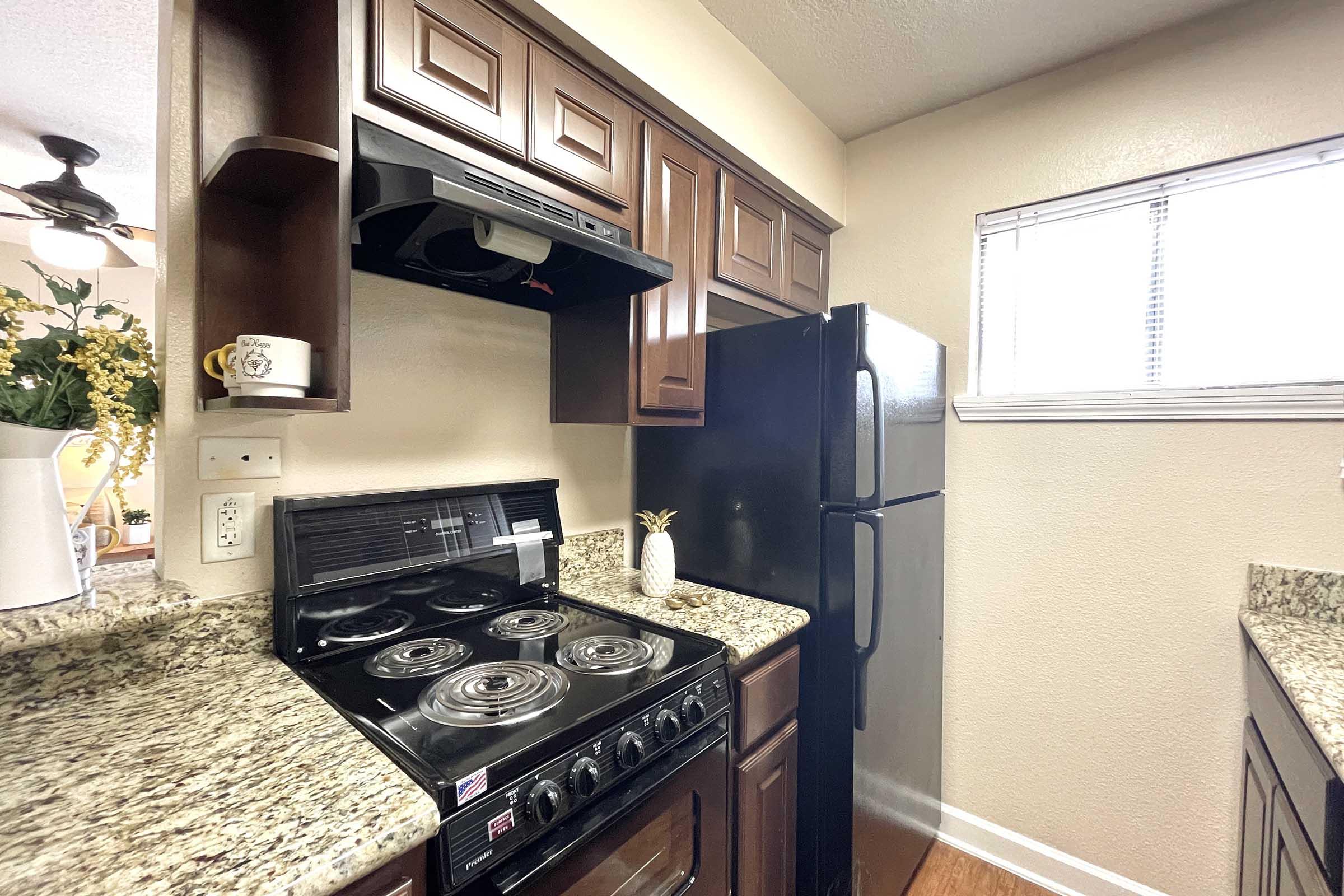 A well-lit kitchen featuring dark wooden cabinets, a black refrigerator, and a black stove with a granite countertop. The space is organized, with a small plant decor and a window providing natural light.