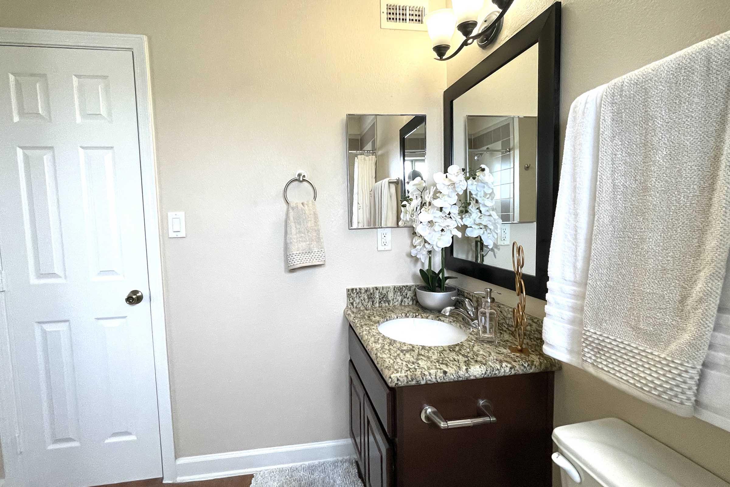 A well-lit bathroom featuring a dark wood vanity with a granite countertop, two mirrors, and a small decorative plant. A white towel hangs on a chrome rack, and a white hand towel is neatly displayed. The walls are painted a neutral color, and a white door is visible in the background.