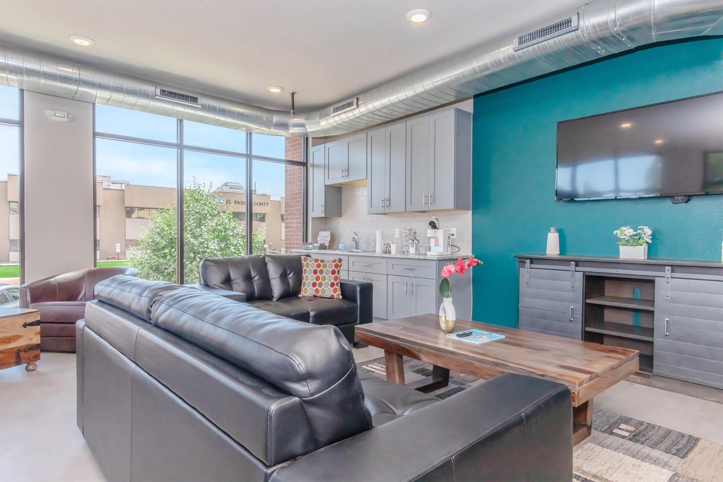 A modern living area featuring sleek black leather sofas, a wooden coffee table, and a kitchen area with light-colored cabinets. Large windows allow natural light to fill the space, with a vibrant teal accent wall and a mounted TV adding contemporary flair. Decorative elements include a potted plant and colorful throw pillows.