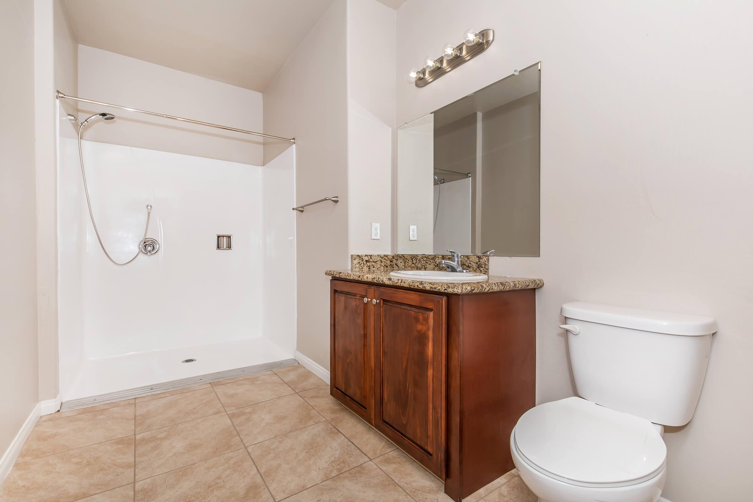 A clean and modern bathroom featuring a walk-in shower with a handheld showerhead, a wooden vanity with a granite countertop and a sink, a large mirror, and a white toilet. The floor is tiled, and the walls are painted in a neutral color, creating a bright and spacious atmosphere.