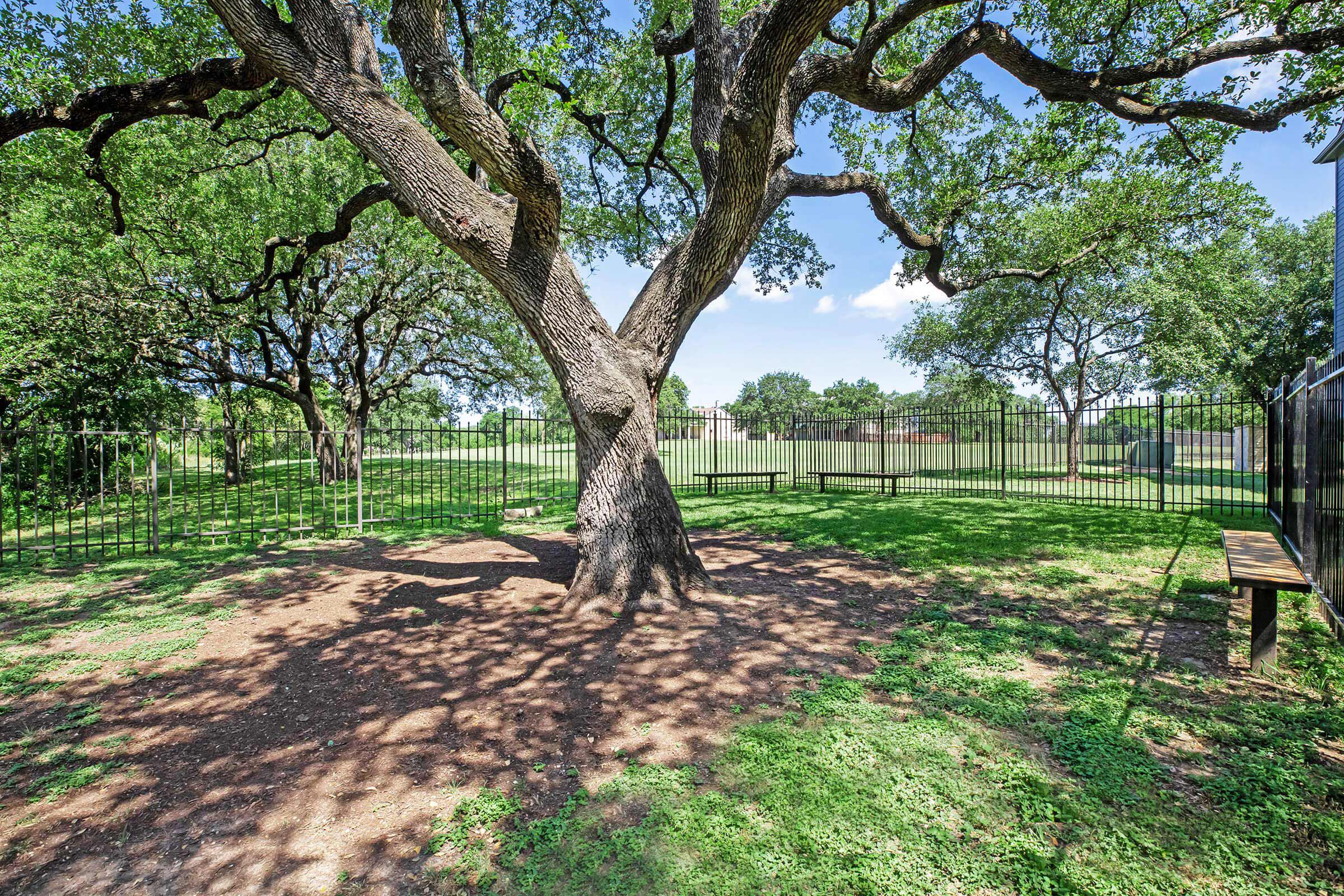 community pet park