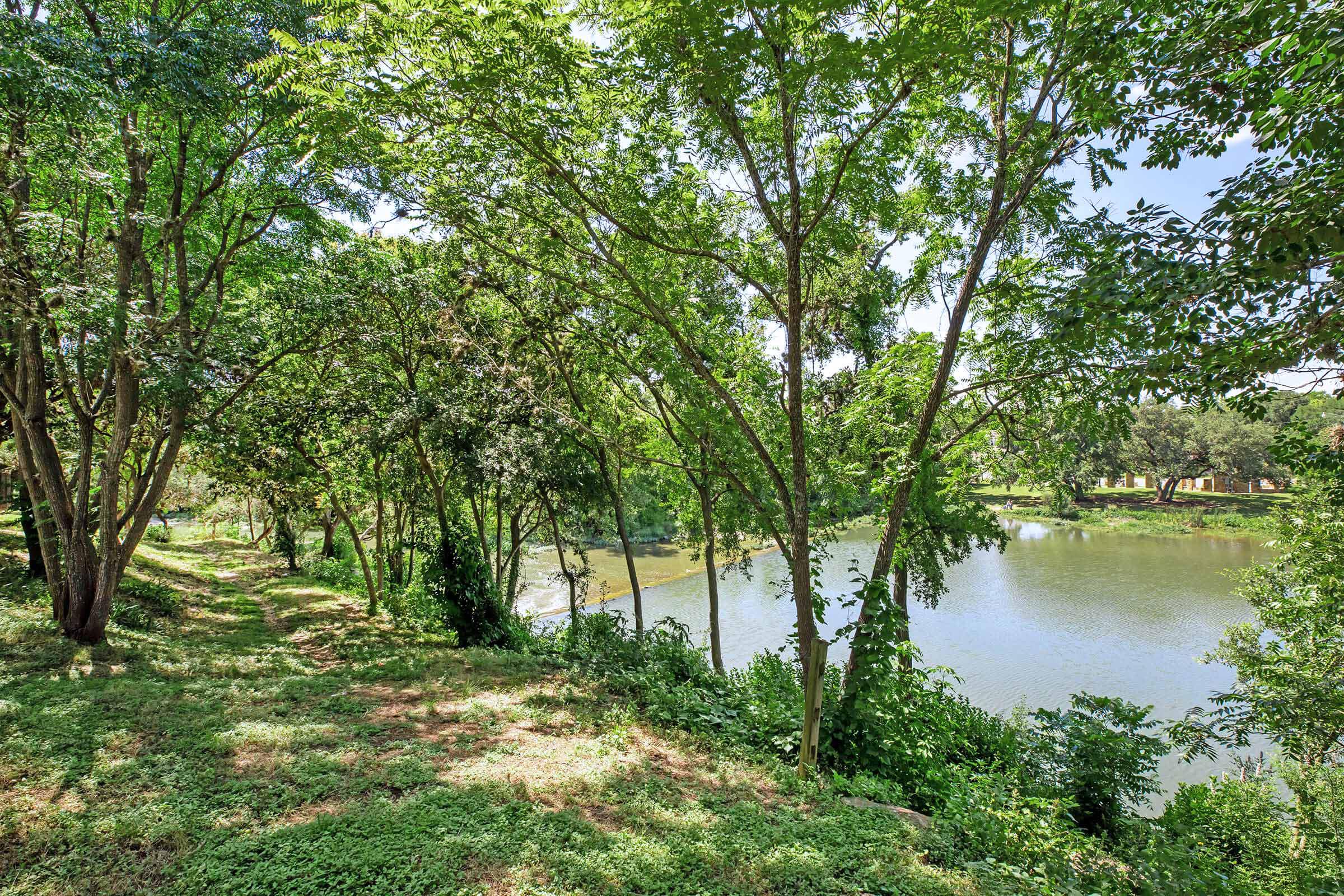 walkway with green trees