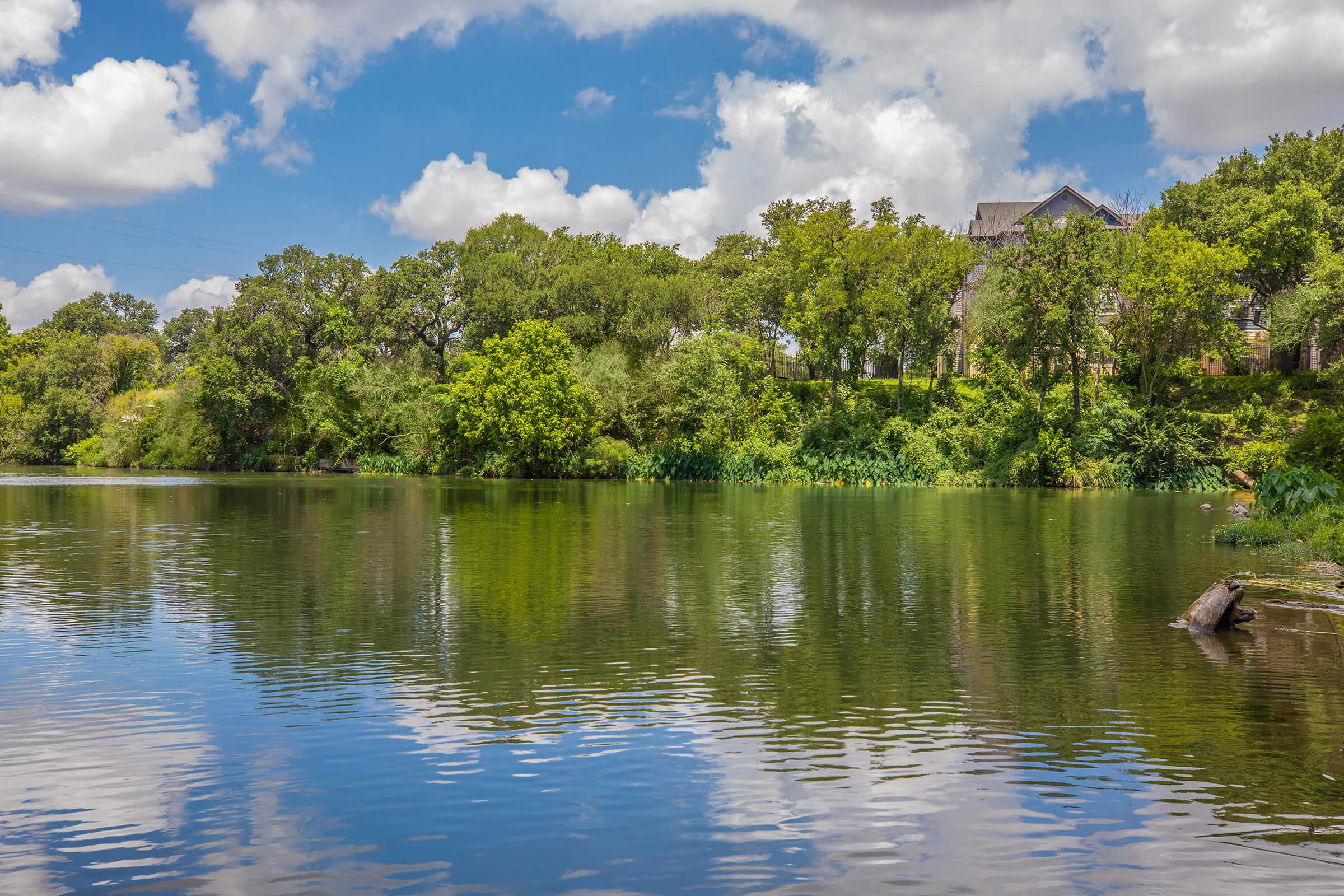 The Falls Round Rock Apartments community pond