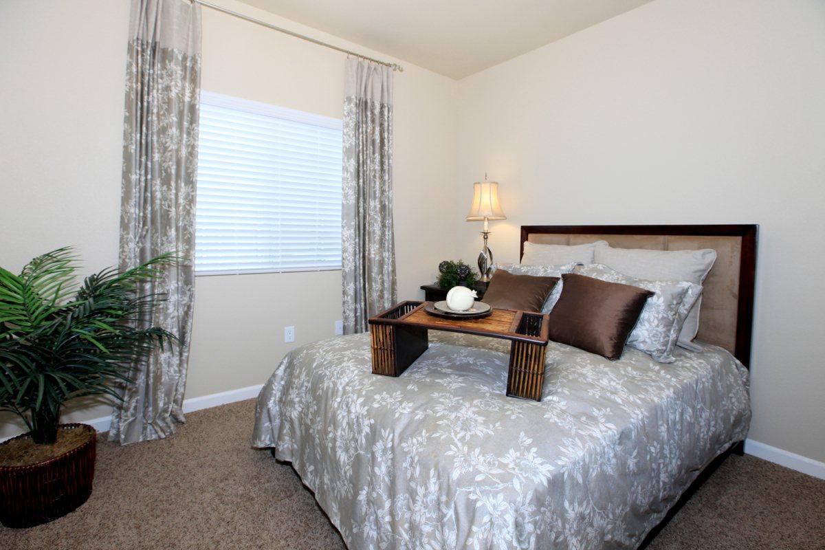 The bedrooms at Greystone Apartments have lots of natural light