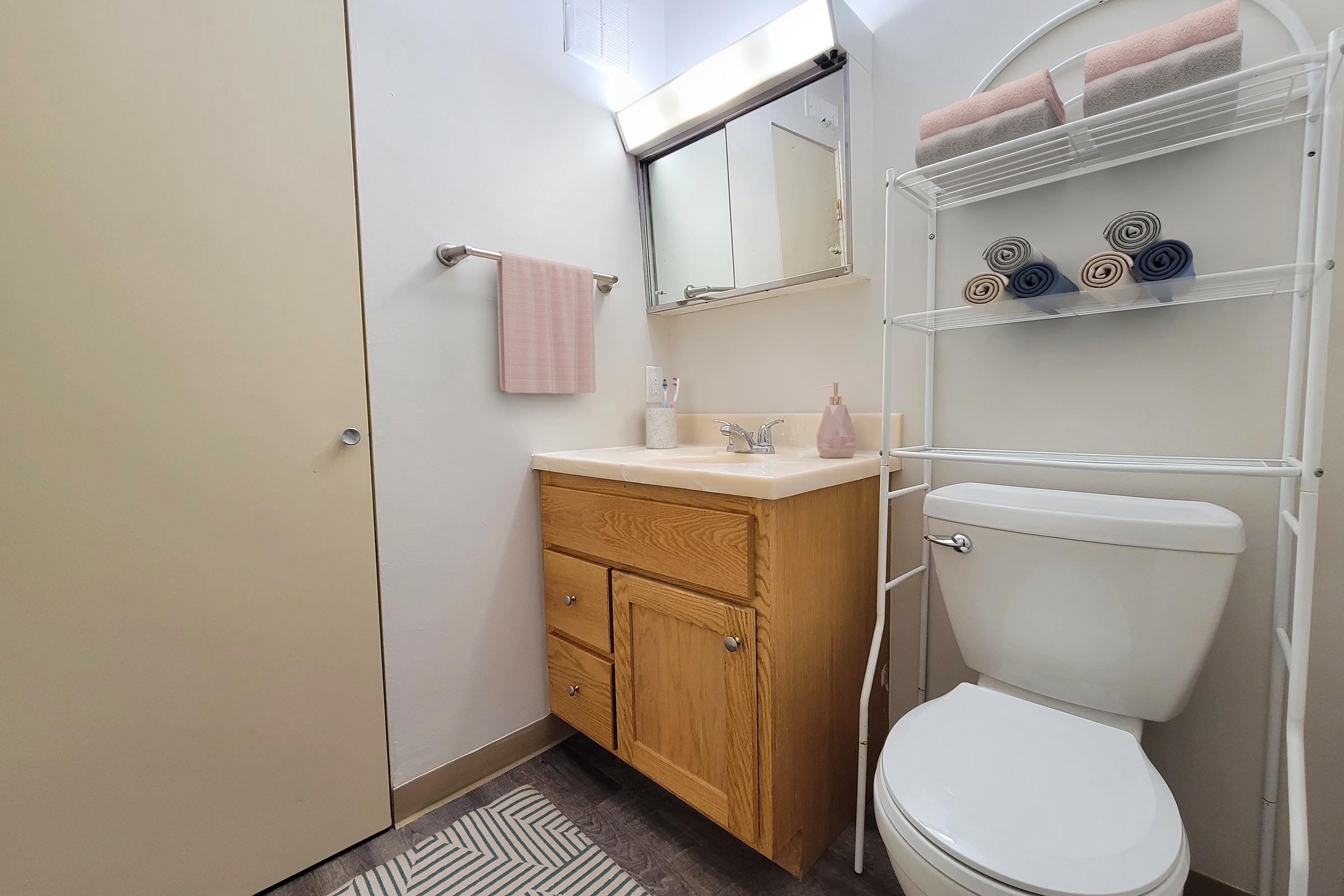 A clean, modern bathroom featuring a sink with wooden cabinets, a mirror above, a towel rack with a pink towel, a white toilet, and a shelving unit displaying neatly rolled towels. The walls are painted white, and there’s a patterned rug on the floor. Natural light is coming from a small window.