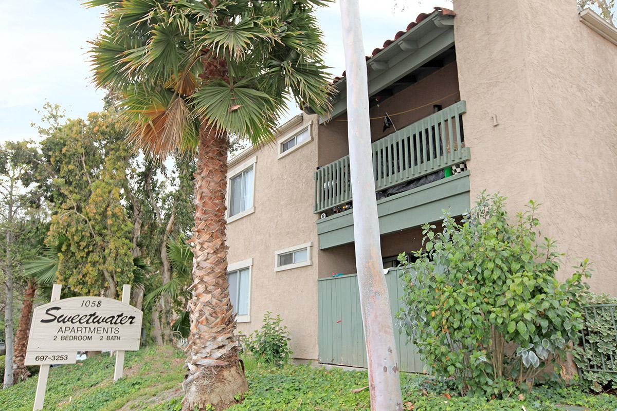 a palm tree in front of a building