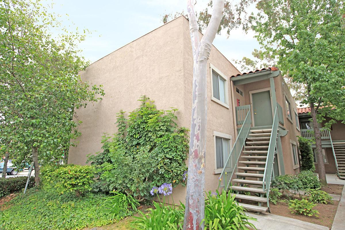 a house with trees in the back yard