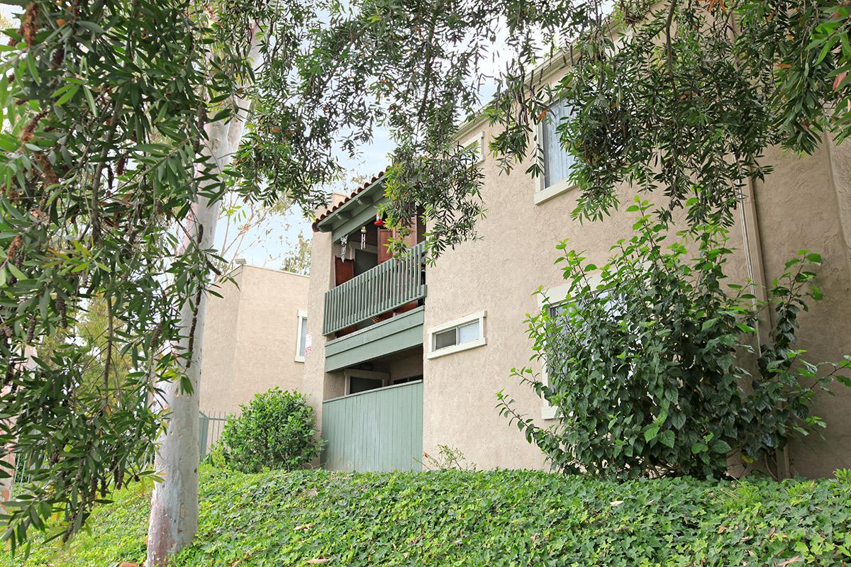 a tree in front of a house