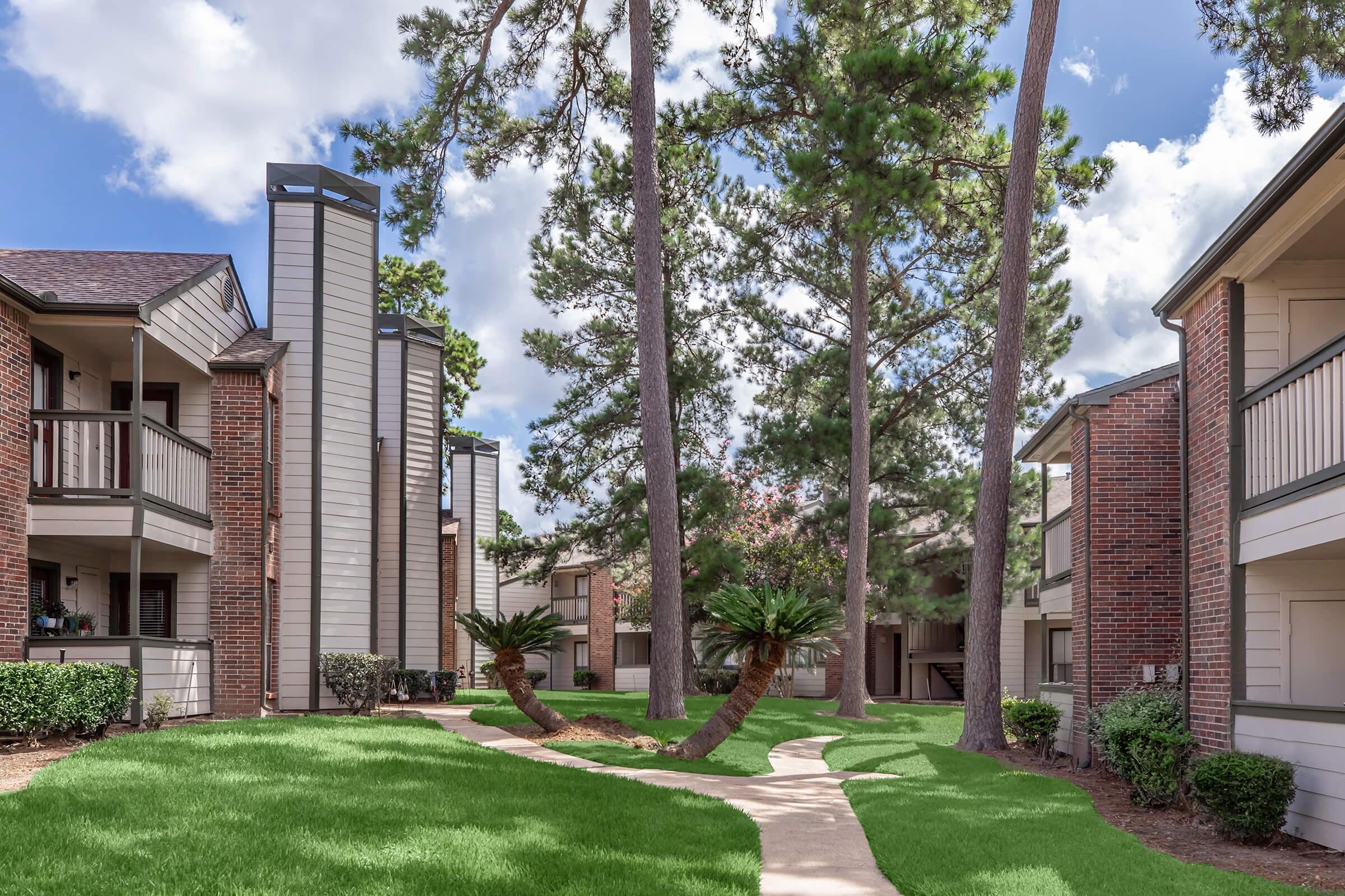 A pathway winds through a landscaped area with well-maintained grass and palm trees, surrounded by residential buildings. Tall pine trees provide shade, and the sky is partly cloudy, creating a tranquil neighborhood atmosphere.