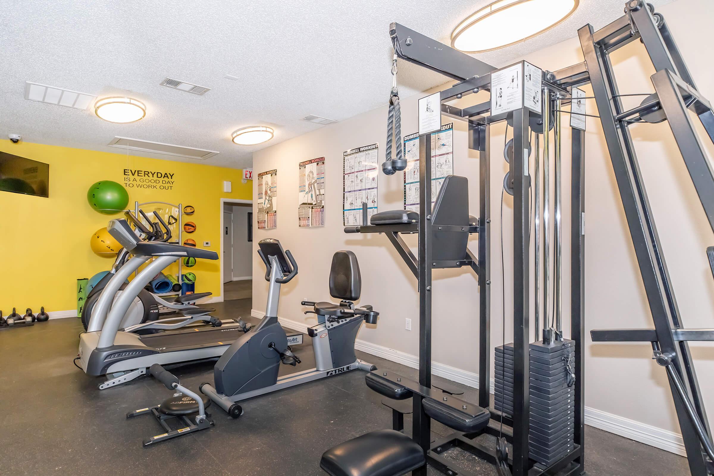 A well-equipped gym featuring various exercise machines, including a stationary bike, weight training equipment, and resistance machines. The walls are adorned with fitness posters, and colorful exercise balls are displayed for additional workout options. Bright lighting enhances the workout environment.