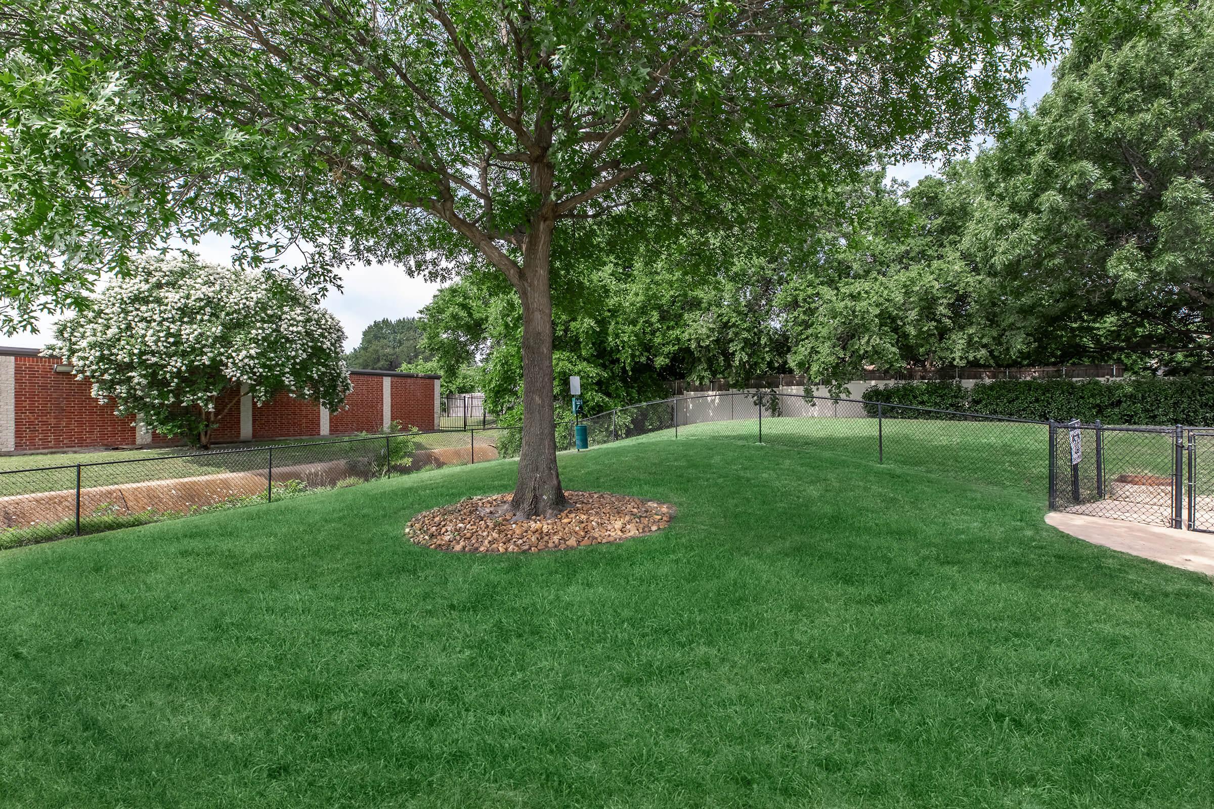 A lush green backyard featuring a large tree with a dense canopy, surrounded by well-manicured grass. Nearby, a flowering shrub adds texture, and a fenced area lines the property, providing a sense of separation from neighboring structures. The scene is bright and inviting, showcasing a serene outdoor space.