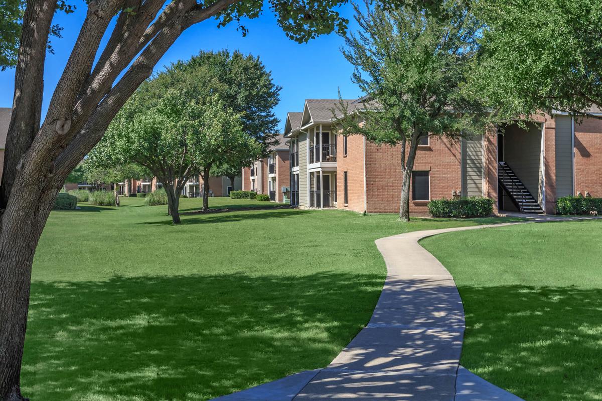 a large lawn in front of a tree