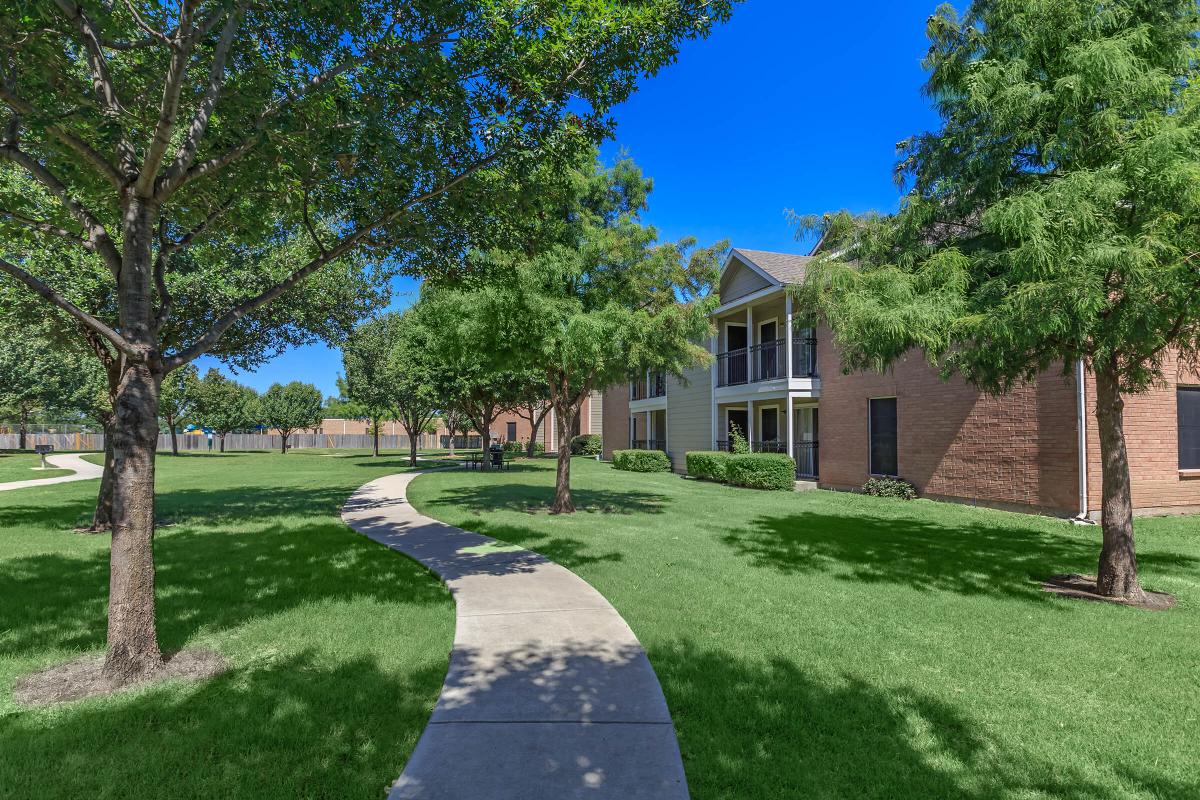 a large lawn in front of a tree