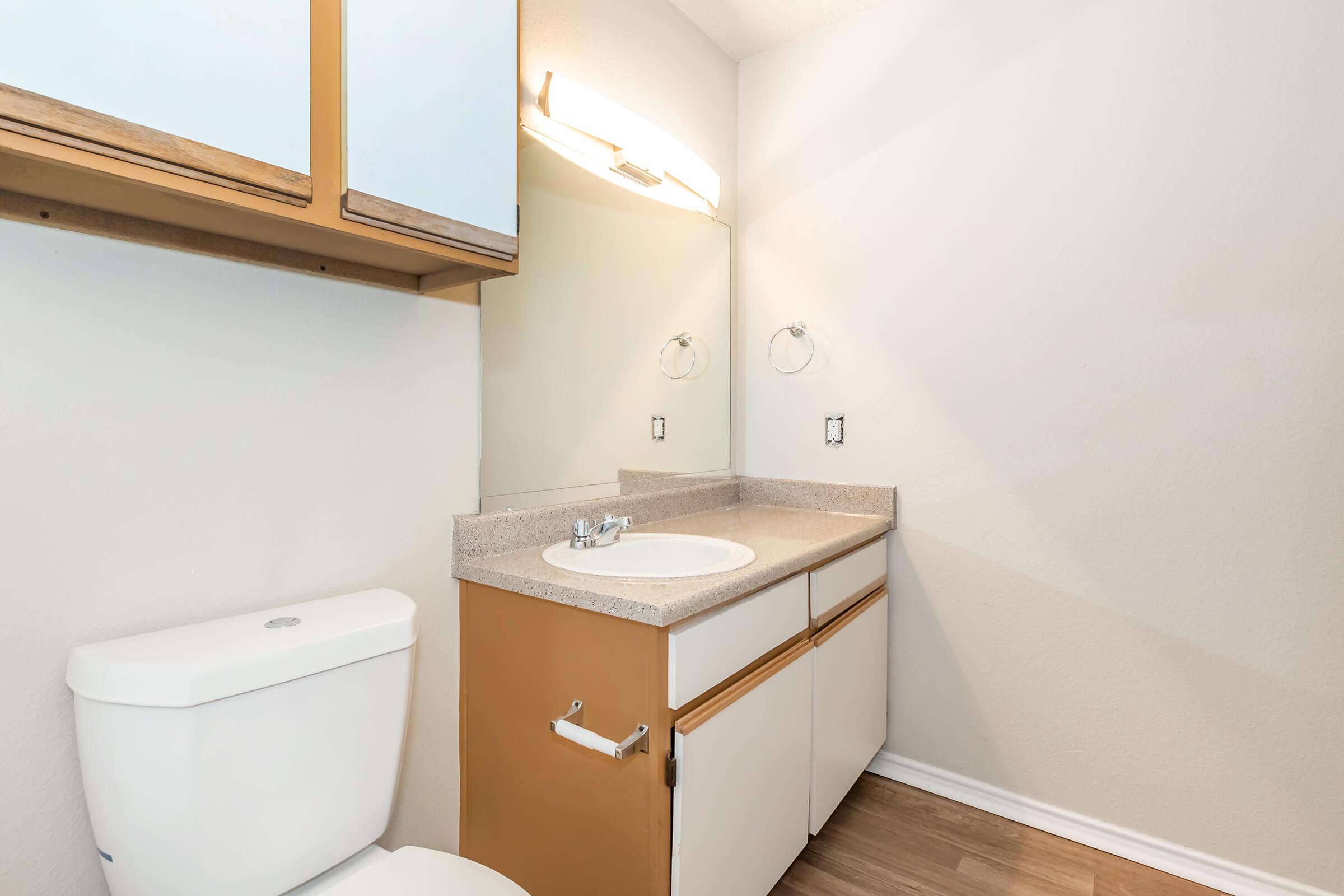 A clean bathroom with a white toilet, a sink with a light-colored countertop, and wooden cabinets. The wall is painted in a light color, and there is a mirror above the sink. The floor appears to be a light wood laminate.