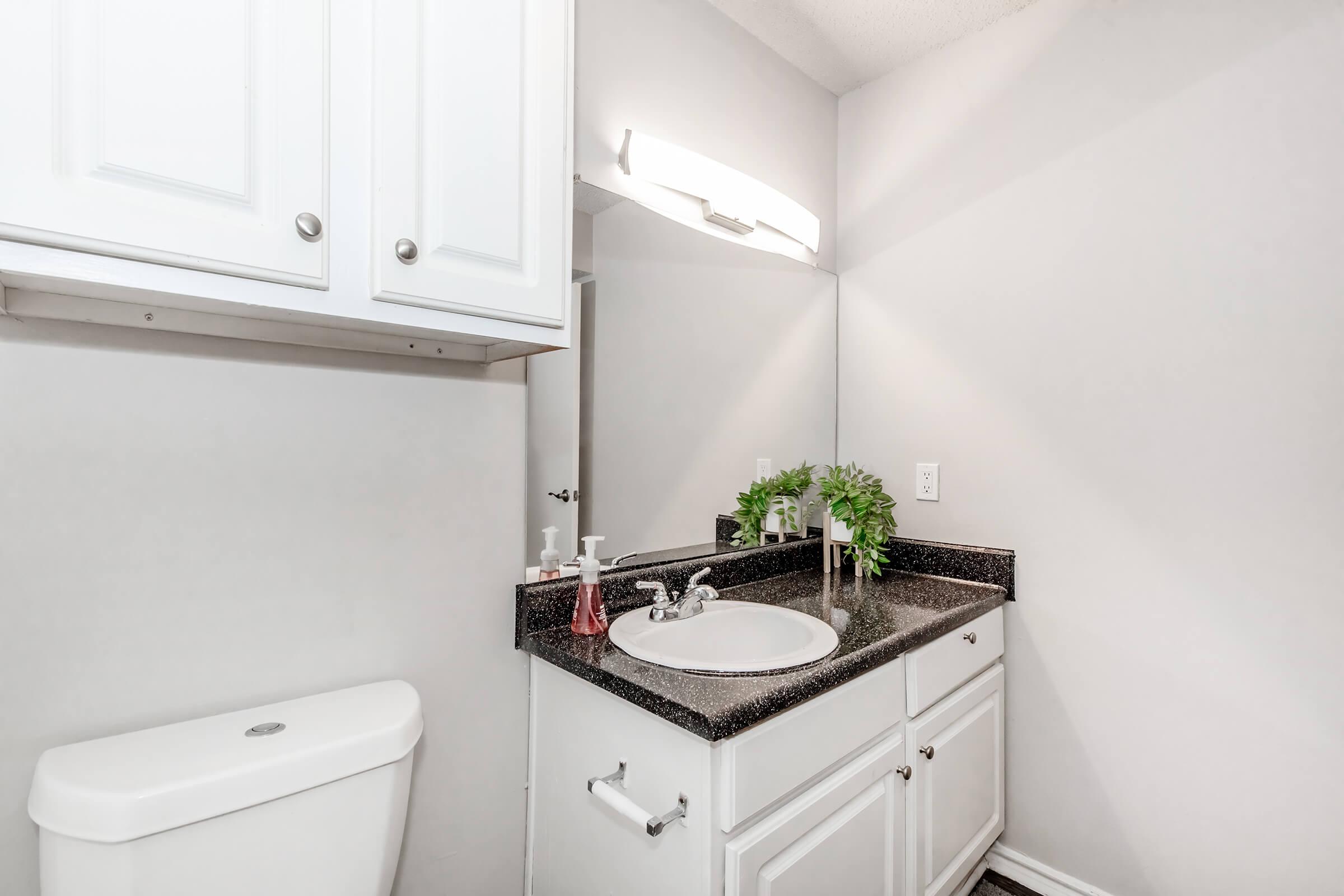 A modern bathroom featuring a white sink with a dark countertop, a mirror above, and a small plant decoration. There is a white toilet to the left and a cabinet with white doors for storage. The walls are painted light gray, and the lighting is provided by a sleek wall-mounted fixture.