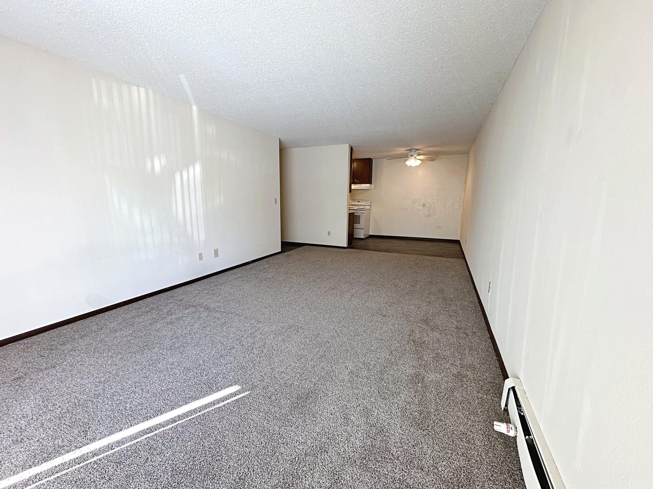 A spacious, empty living room with light-colored walls and new gray carpet. Sunlight streams through unseen windows, creating shadows on the walls. In the background, a doorway leads to a kitchen area, which is partially visible. The overall tone of the room is bright and inviting.