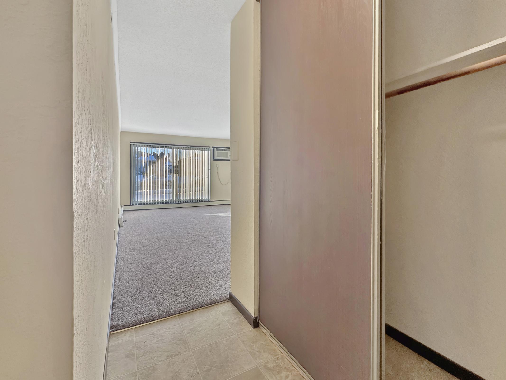 View of an interior space showing an entryway with a door leading to a room. There is a large window in the background with blinds open, allowing natural light to enter. The floor features a mix of carpet and tile, and there is an empty closet visible on the left.