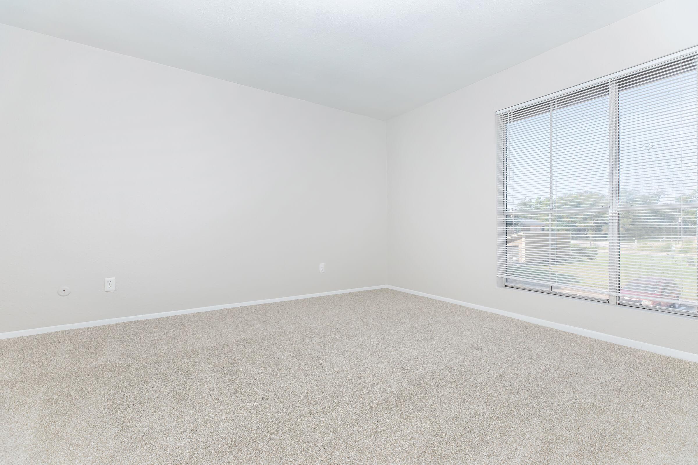 A spacious, empty room with light-colored walls and beige carpet. Natural light filters through a large window with horizontal blinds. The floor is clean and free of furniture, creating a minimalist aesthetic.