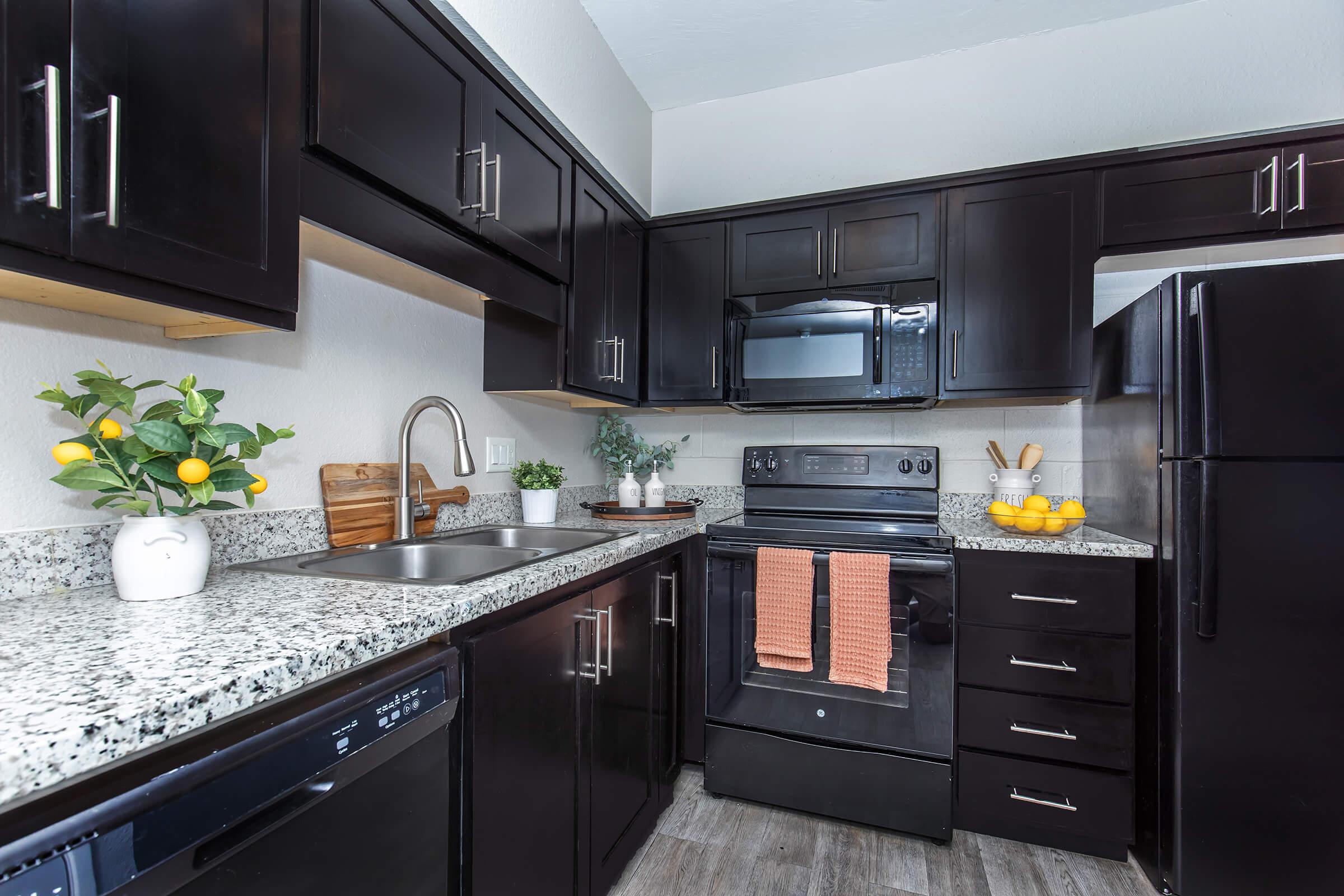 A modern kitchen featuring dark wooden cabinets, a granite countertop, and stainless steel appliances. The kitchen includes a sink, built-in microwave, black stove, and refrigerator. Decorative elements include a small plant and a bowl of lemons on the countertop, along with a dish towel hanging near the sink.