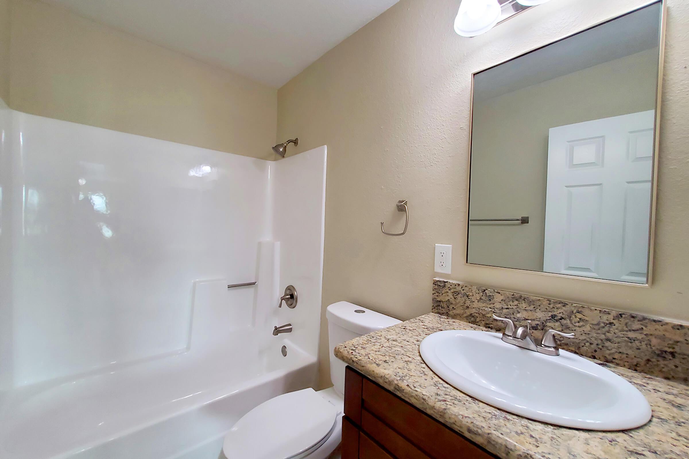 a shower that has a sink and a mirror