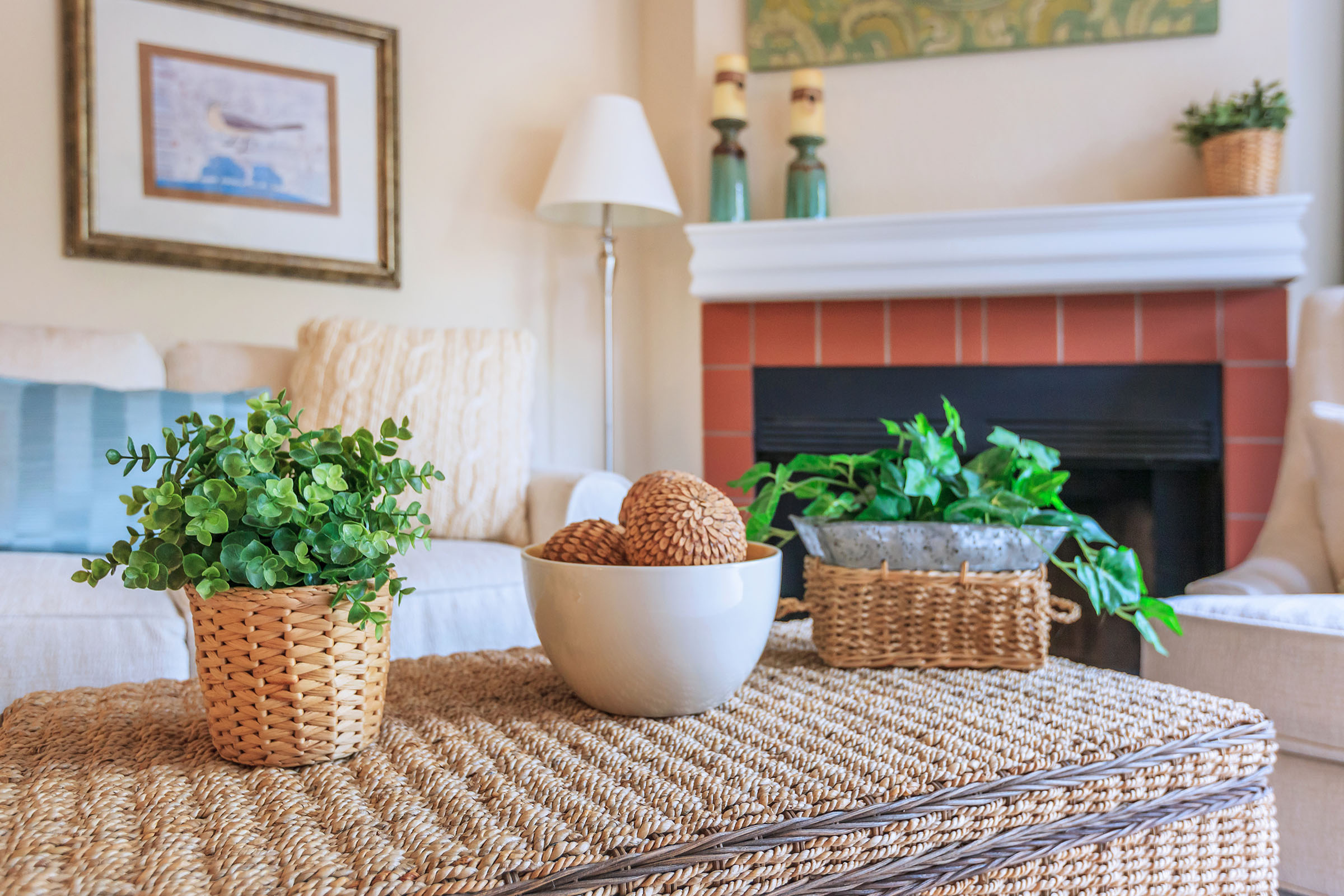 Apartment Features