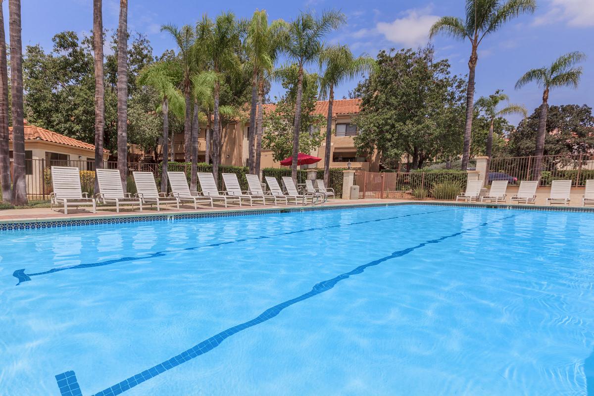 TAKE A DIP IN OUR SPARKLING SWIMMING POOL