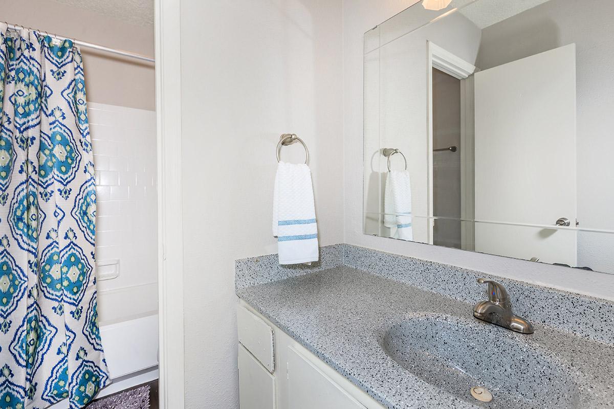 a room with a sink and a mirror