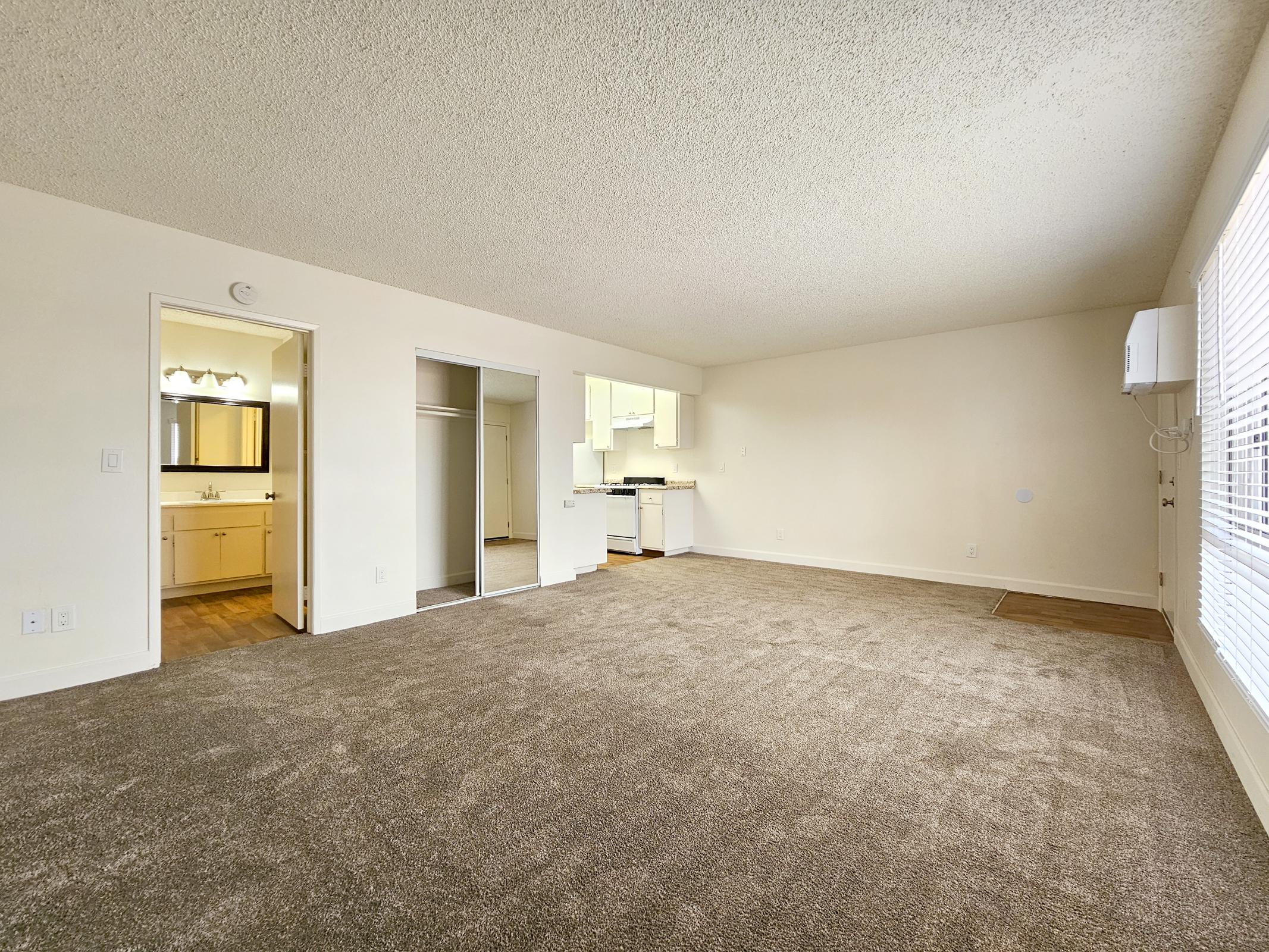 Spacious empty living area with neutral-colored carpet, featuring an open layout that connects to a small kitchen. A bathroom is visible through a door, and large windows allow natural light to fill the space. The overall atmosphere is bright and ready for personal touches.