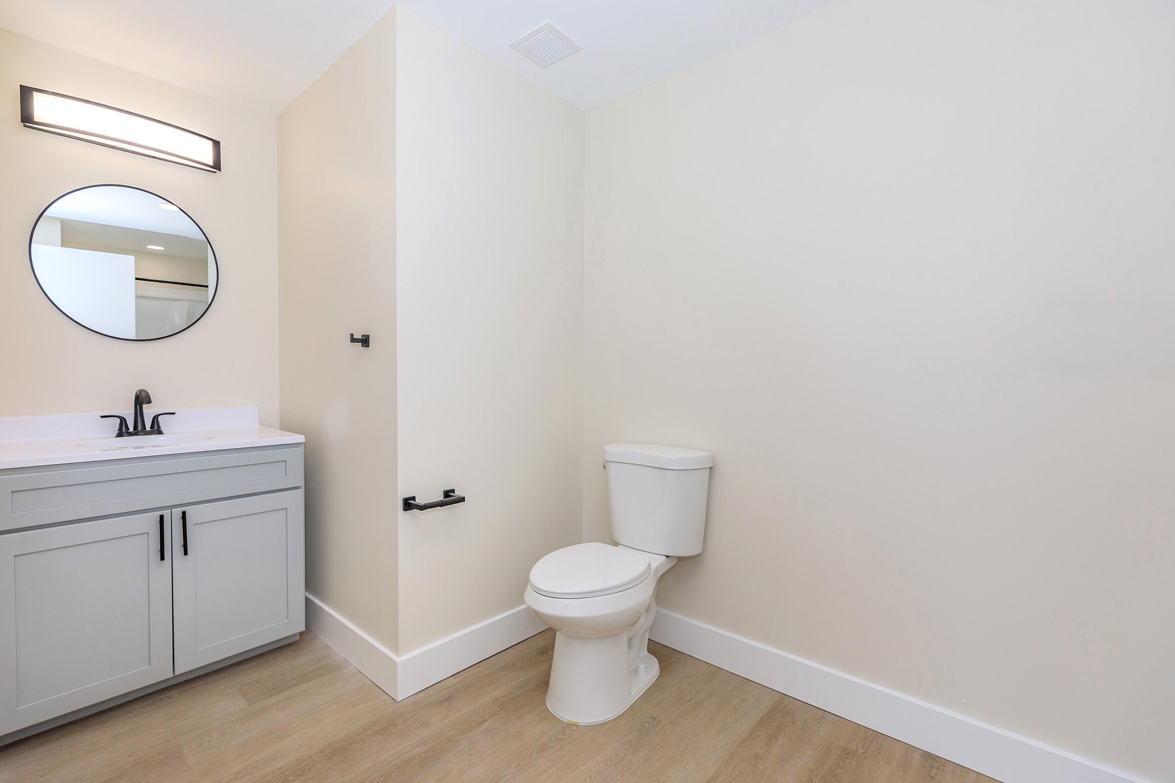 A modern bathroom featuring a light-colored wall, a round mirror above a gray vanity with a sink, a toilet, and black towel bars. The flooring is light wood, and the space is well-lit with natural light coming from an unseen window.