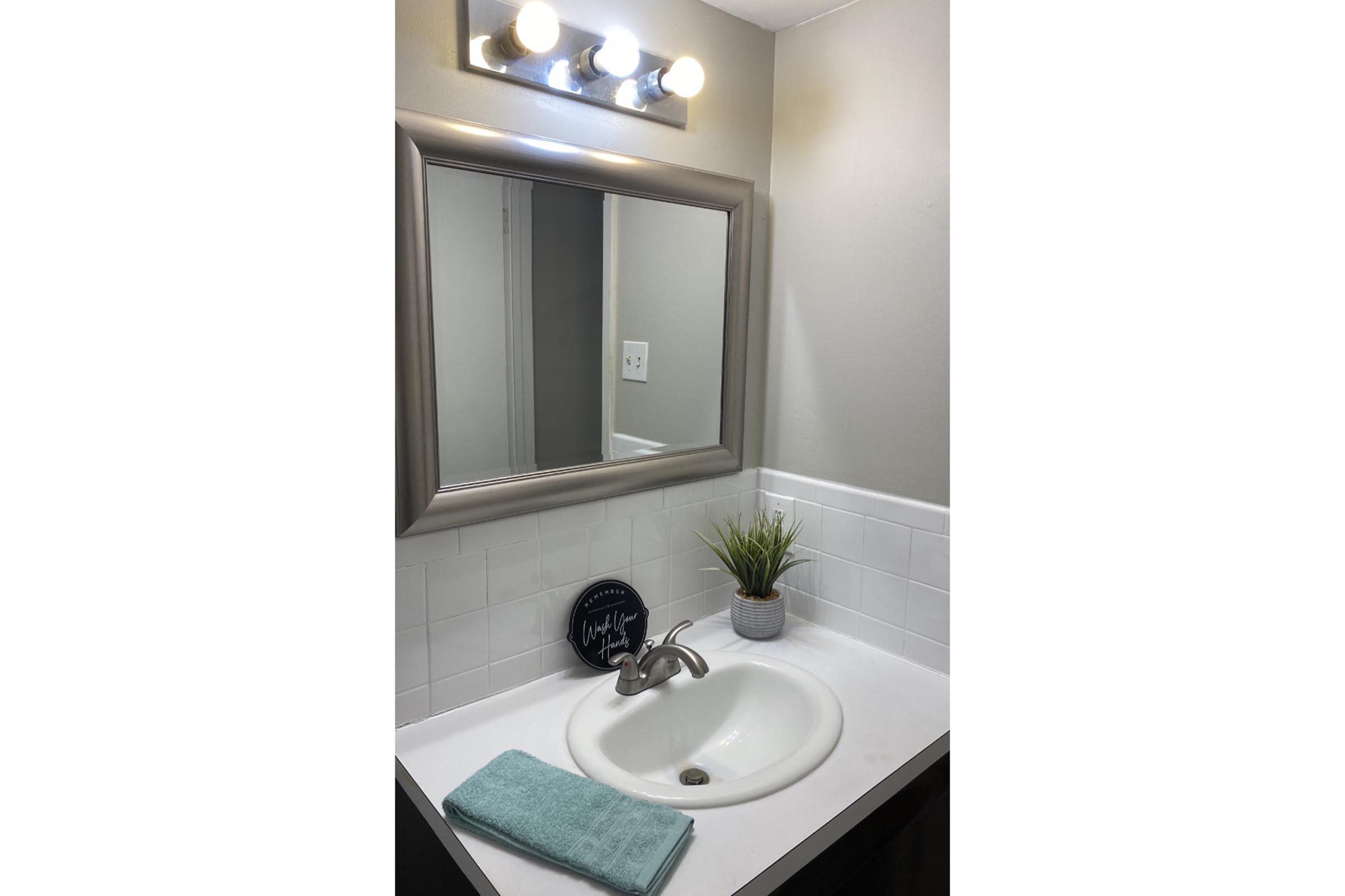 a sink sitting in front of a mirror posing for the camera