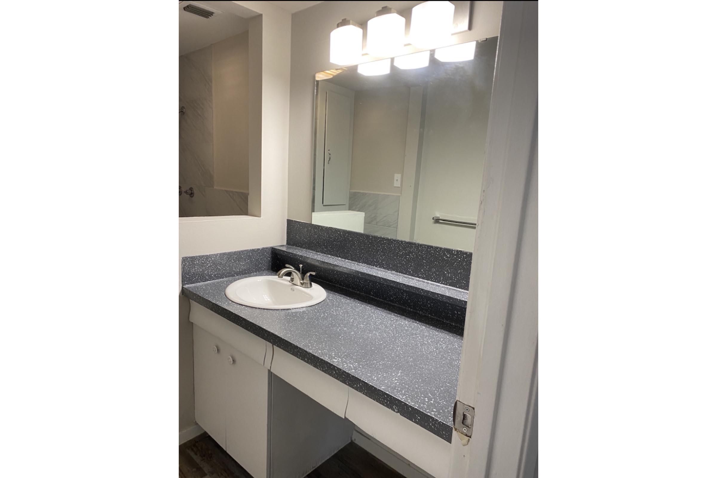 a sink and a mirror