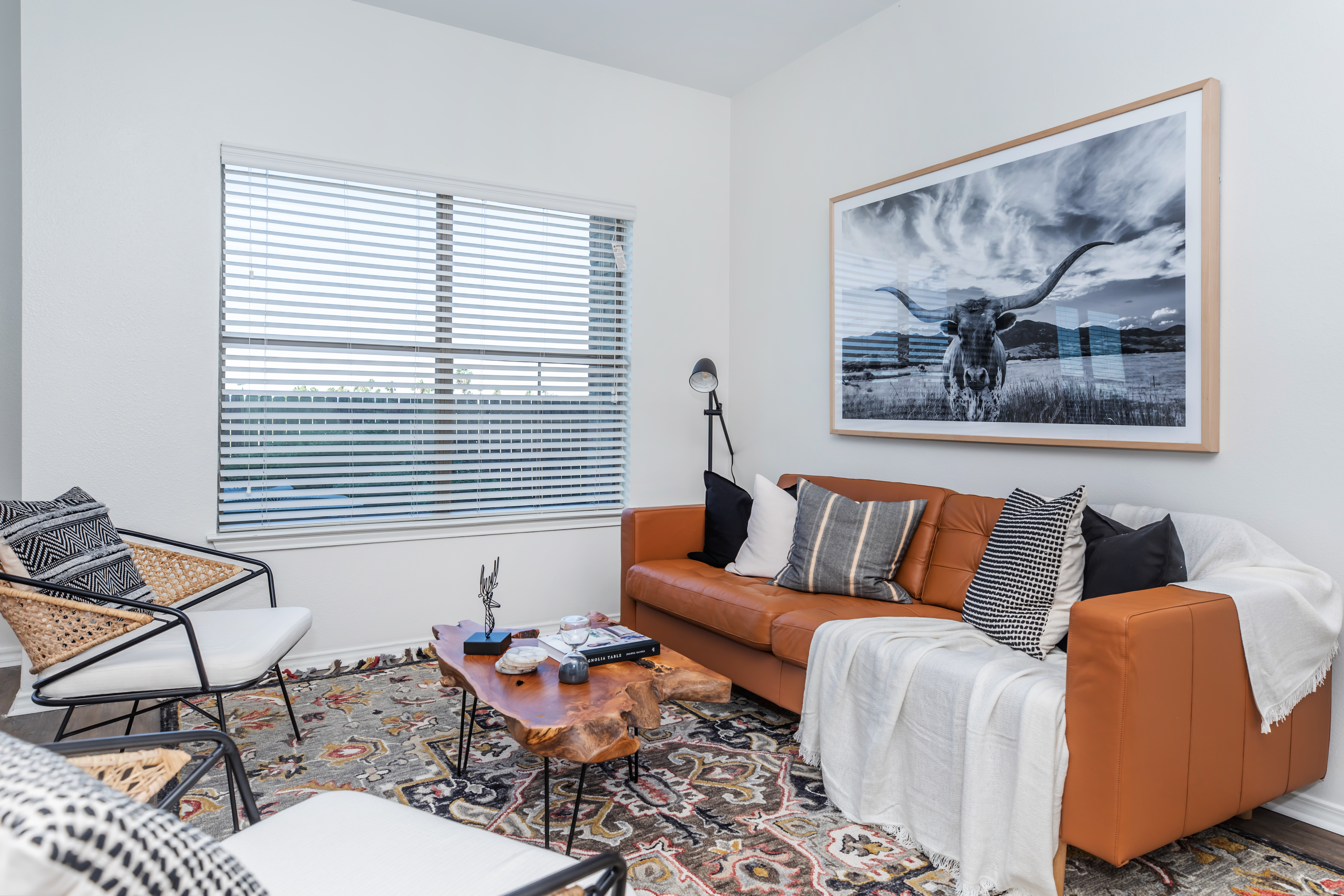 Apartment Features