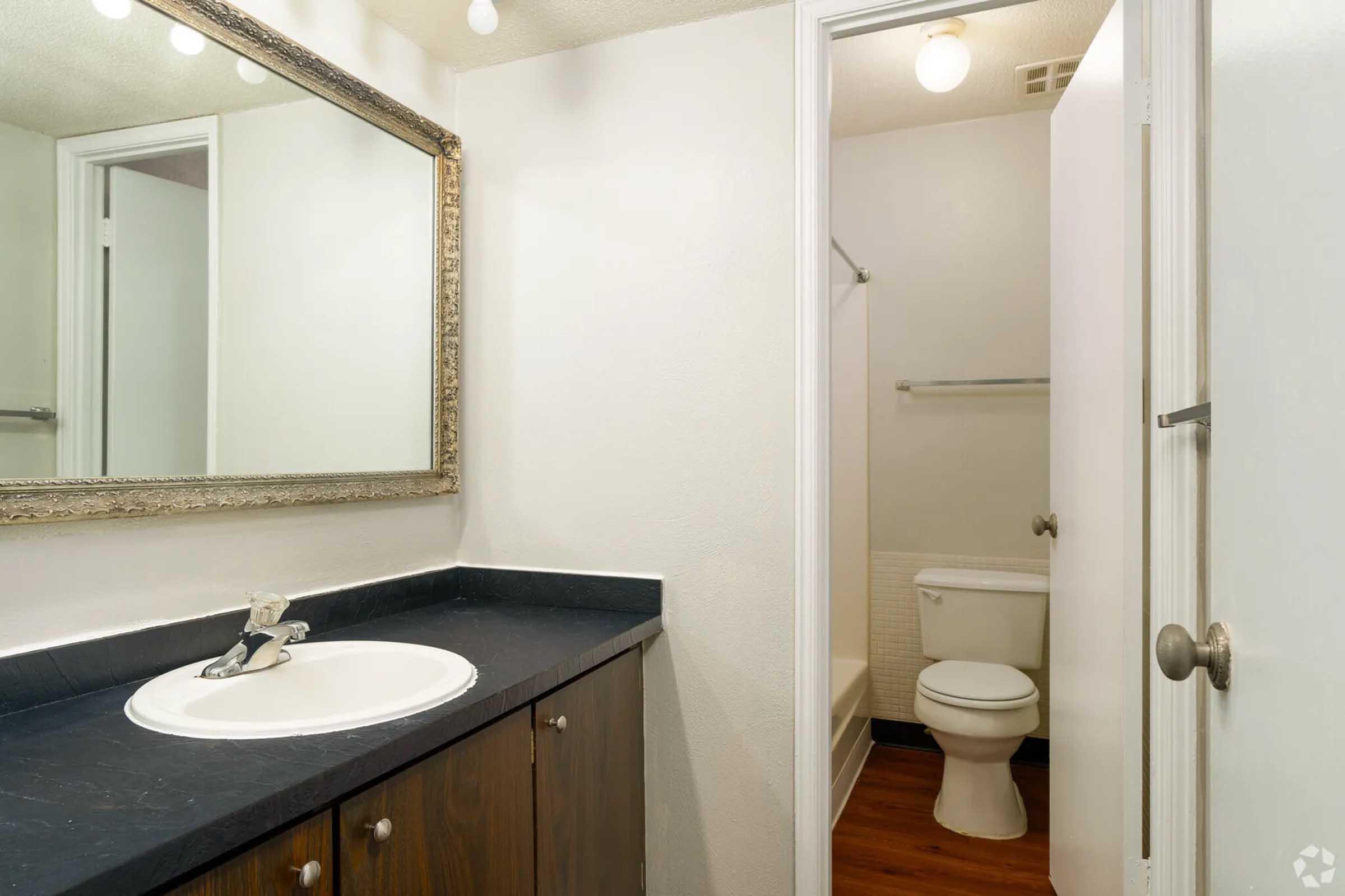 A well-lit bathroom featuring a large mirror above a dark countertop sink. To the right, a white toilet is visible, with a shower area in the corner. The walls are painted white, and there's a light fixture with multiple bulbs above the mirror, creating a clean and modern ambiance.