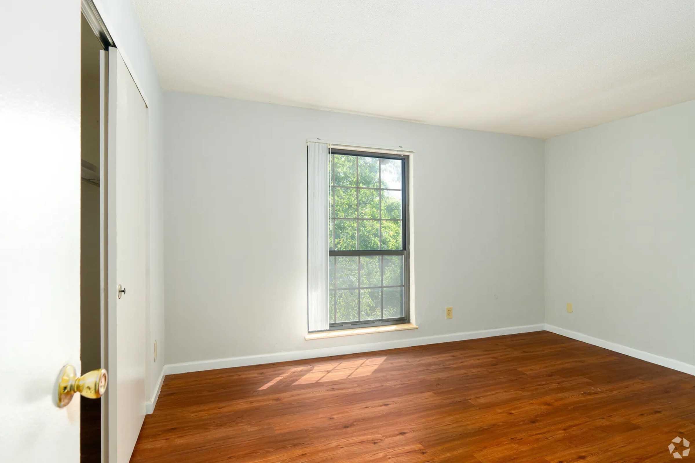 Empty room with light-colored walls and a large window letting in natural light. The floor is made of wood, and there is a closet door on the left. The overall atmosphere is bright and spacious.