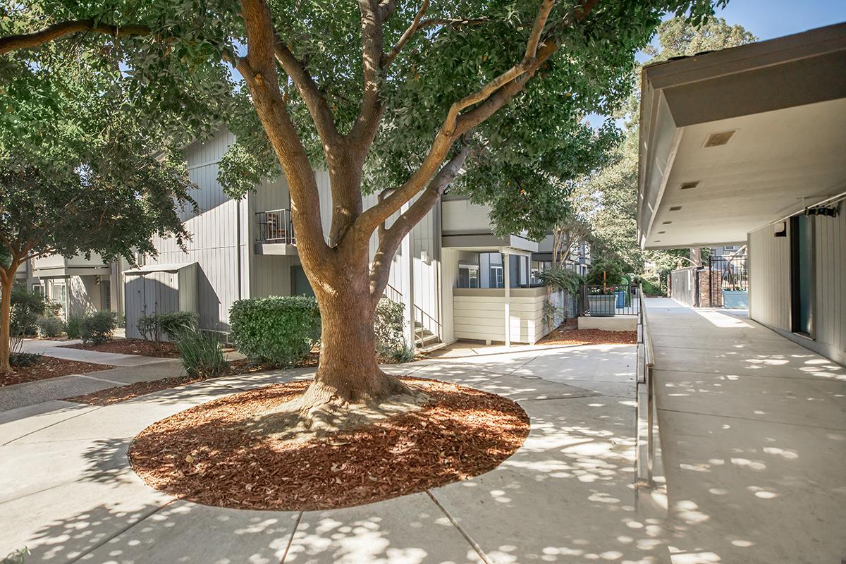 a house with trees in the background