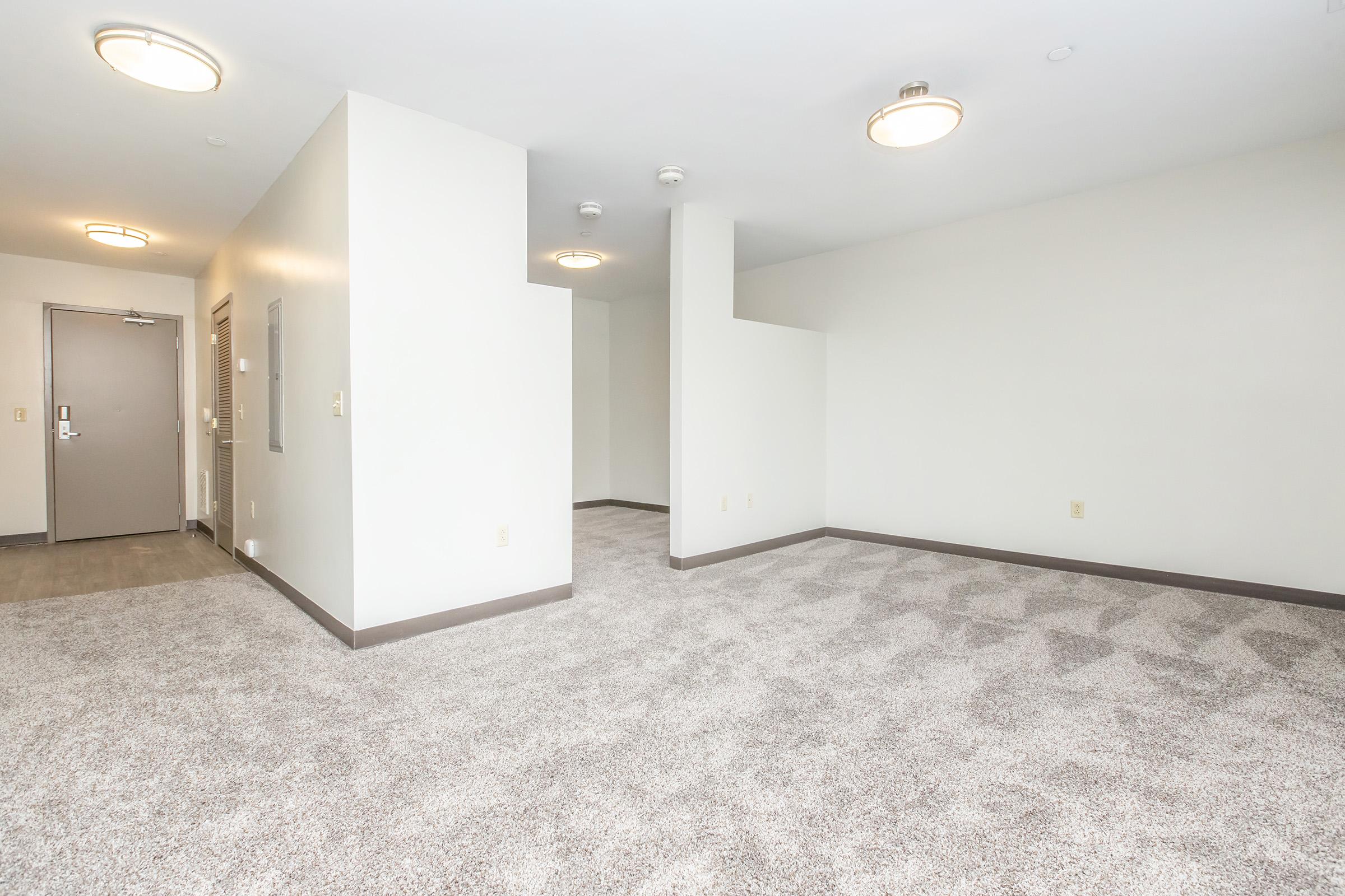 Spacious empty room with light gray carpet, neutral-colored walls, and modern ceiling lights. The room features a doorway leading to a hallway and an adjacent wall with a small section divided, creating an open yet defined layout. Ideal for customization and decorating.