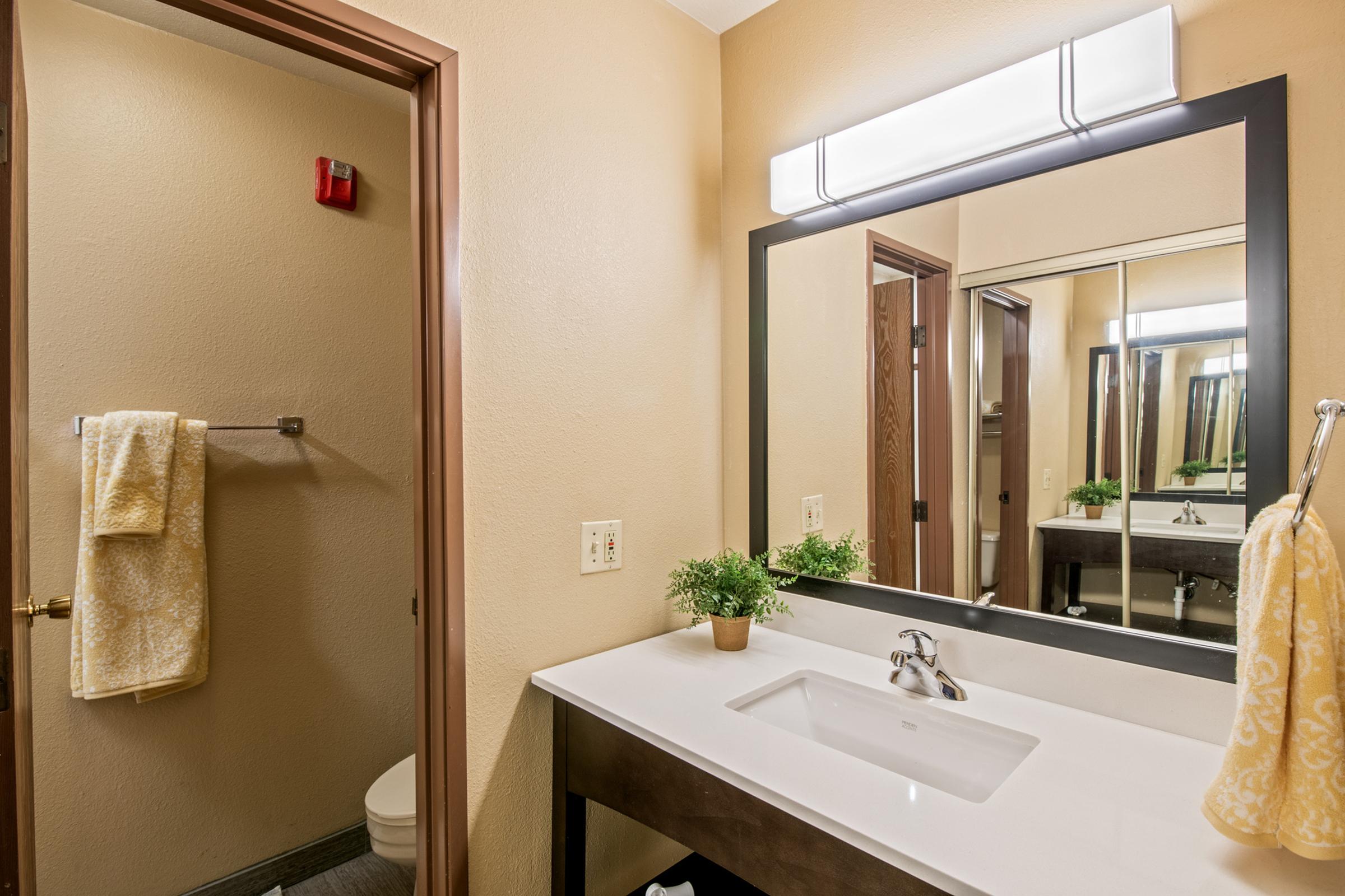A well-lit bathroom featuring a modern sink with a mirror above it. There is a door leading to a toilet area, a towel rack with a yellow towel, and a small potted plant on the countertop. The walls are painted a soft beige, and the overall decor is clean and minimalistic.