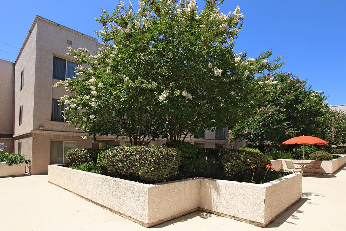 Valley Village Senior Apartment Homes courtyard with green landscaping