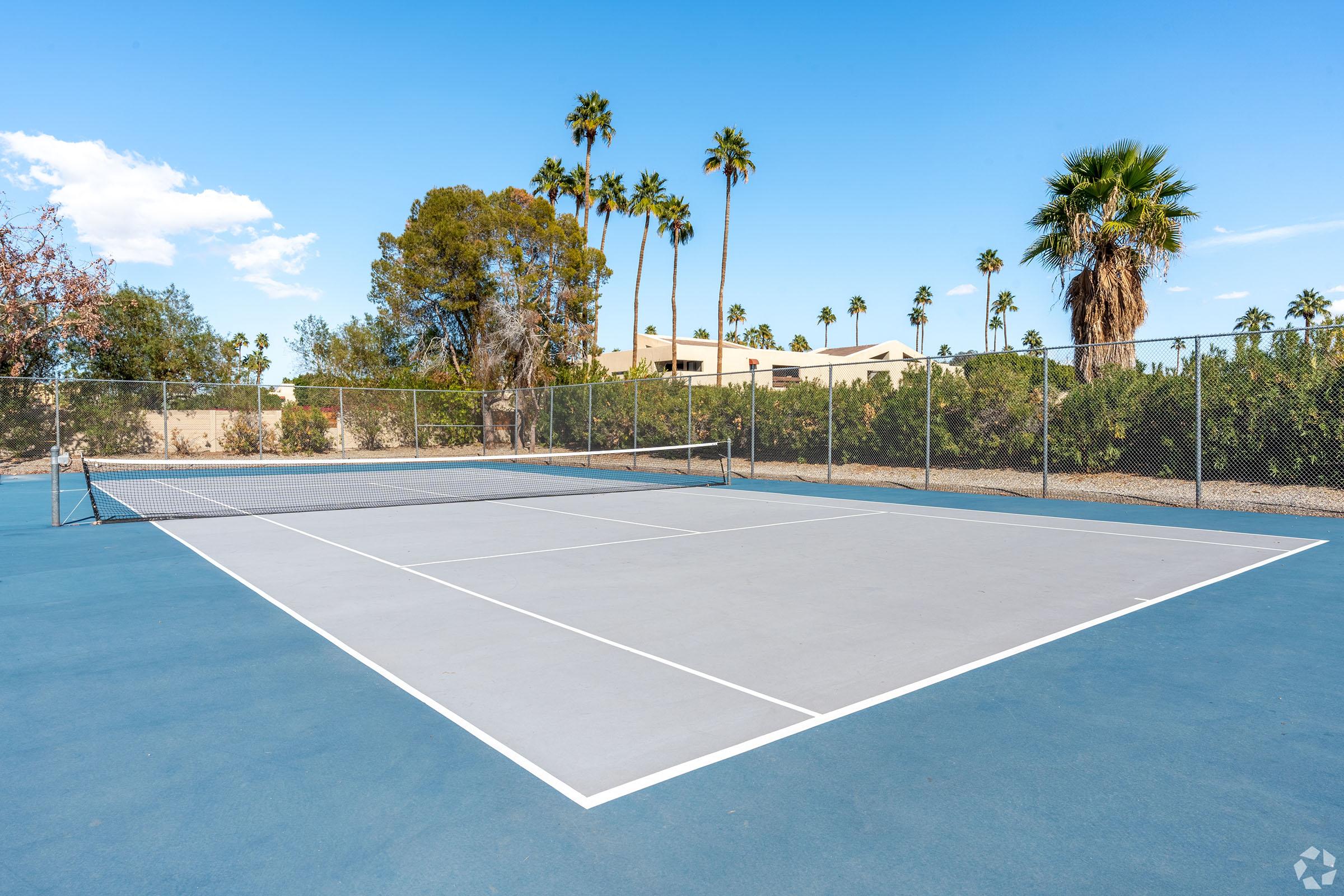 A tennis court with a smooth gray surface and white boundary lines, surrounded by palm trees and bushes. The background features a light-colored building and a clear blue sky with a few clouds. The court is empty, inviting players to enjoy a game.